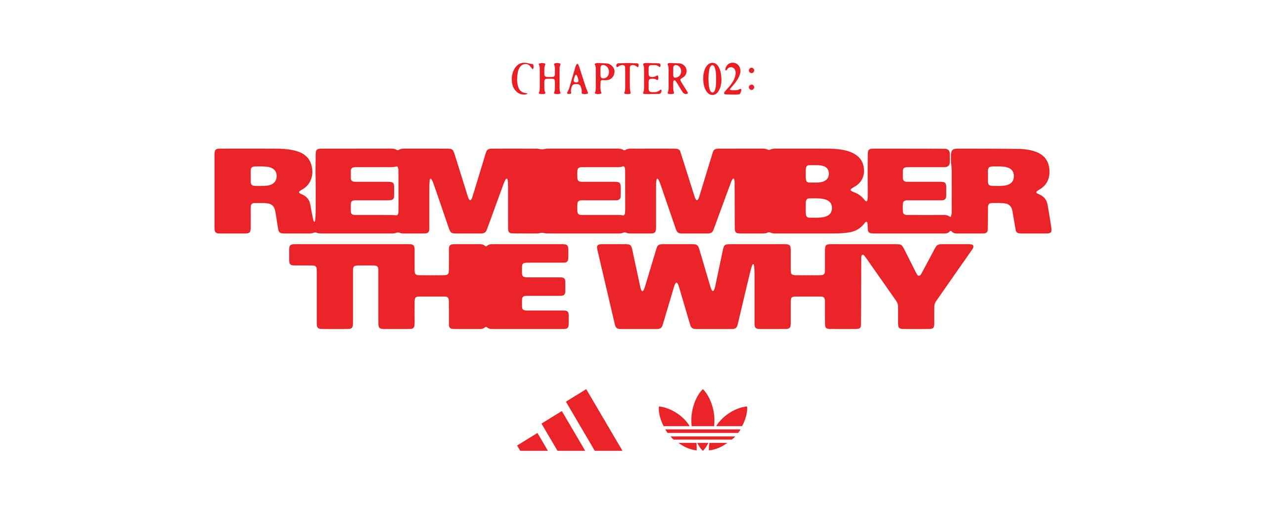 "adidas basketball - Chapter2.0 -"