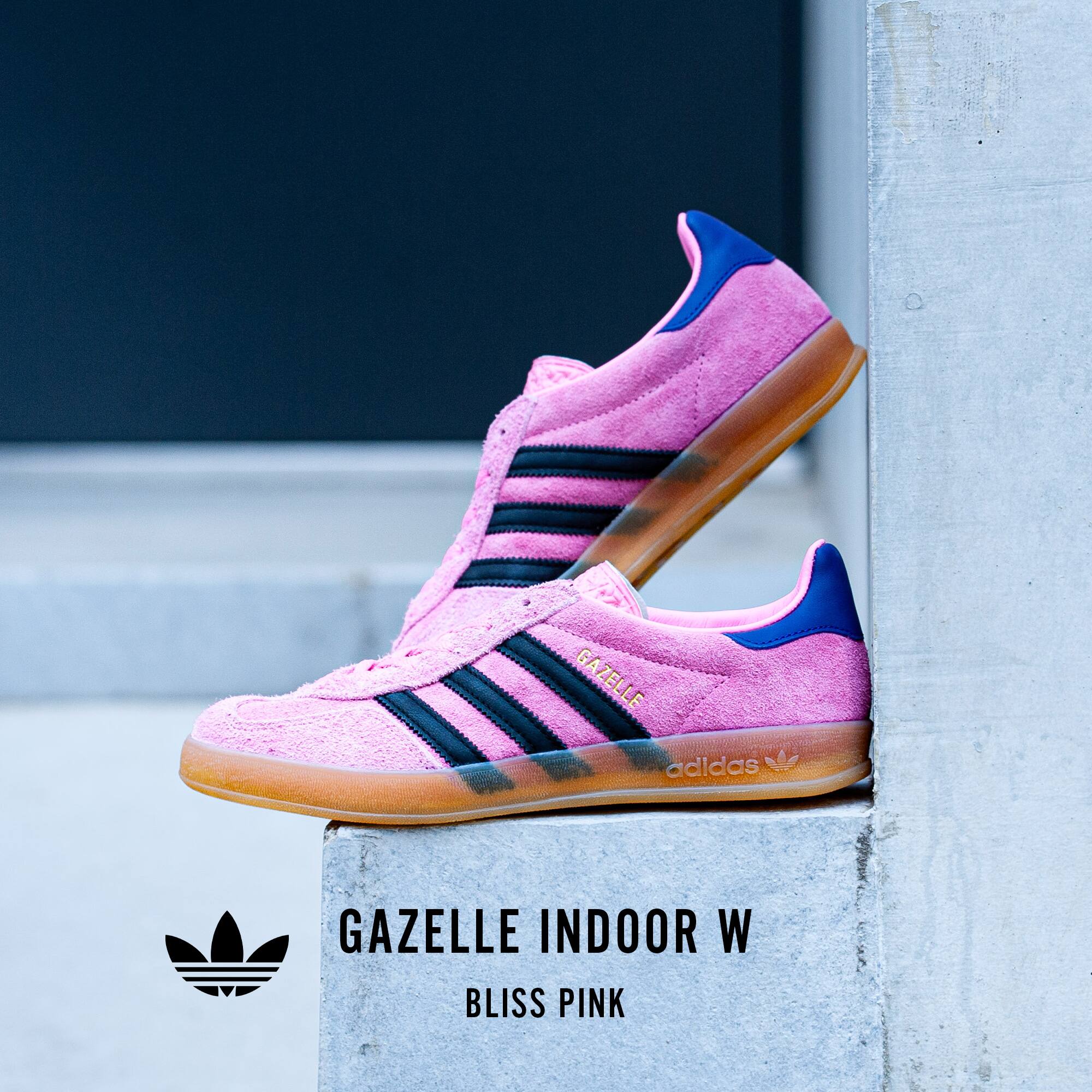 adidas Originals GAZELLE INDOOR W Bliss Pink