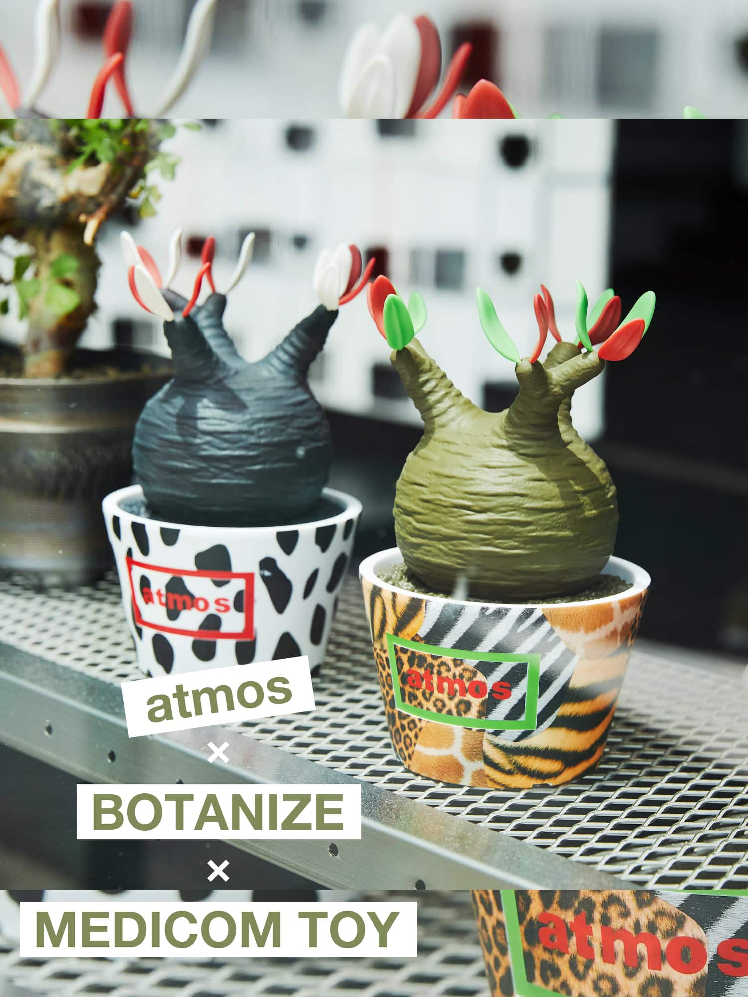 2024秋冬新作】 MEDICOM TOY × ATMOS × BOTANIZE グラキリス 小物 ...