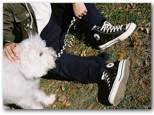 CONVERSE ALL STAR LGCY DM HI / AT