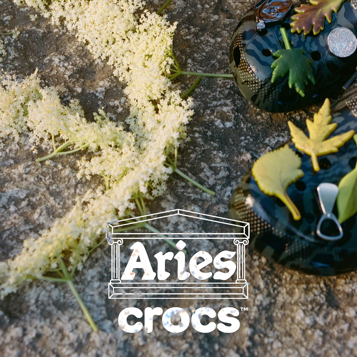 crocs x aries