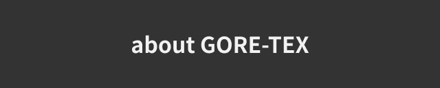 gore-tex-lab-by-atmos-lp