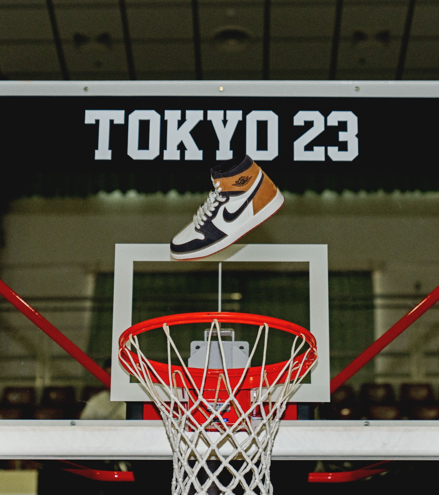 JORDAN BRAND AIR JORDAN 1 RETRO HIGH OG Love of the Game x 10-FEET