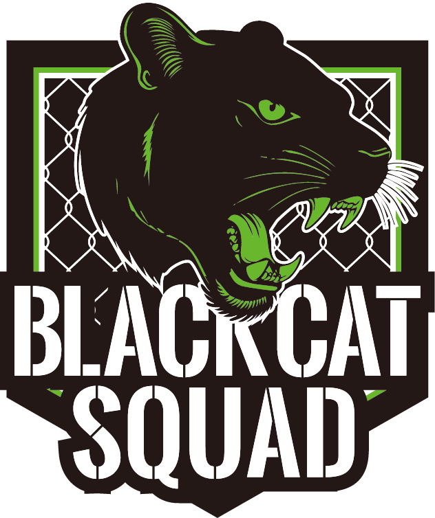 jordan-brand-air-jordan-4-retro-black-cat-look-book