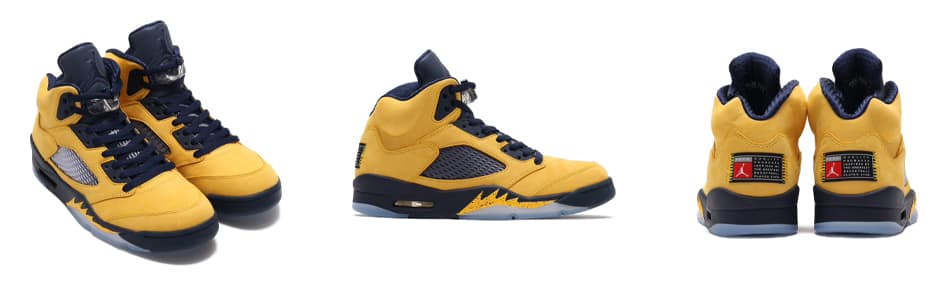 NIKE AIR JORDAN 5 RETRO SE