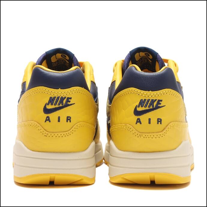 NIKE COJP | NIKE AIR MAX 1 / DUNK LOW HEAD 2 HEAD