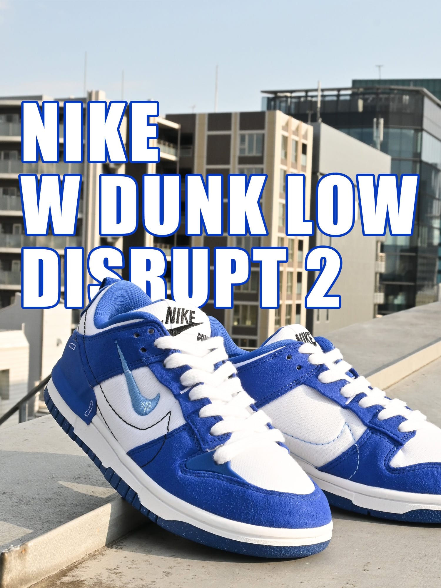 NIKE W DUNK LOW DISRUPT 2