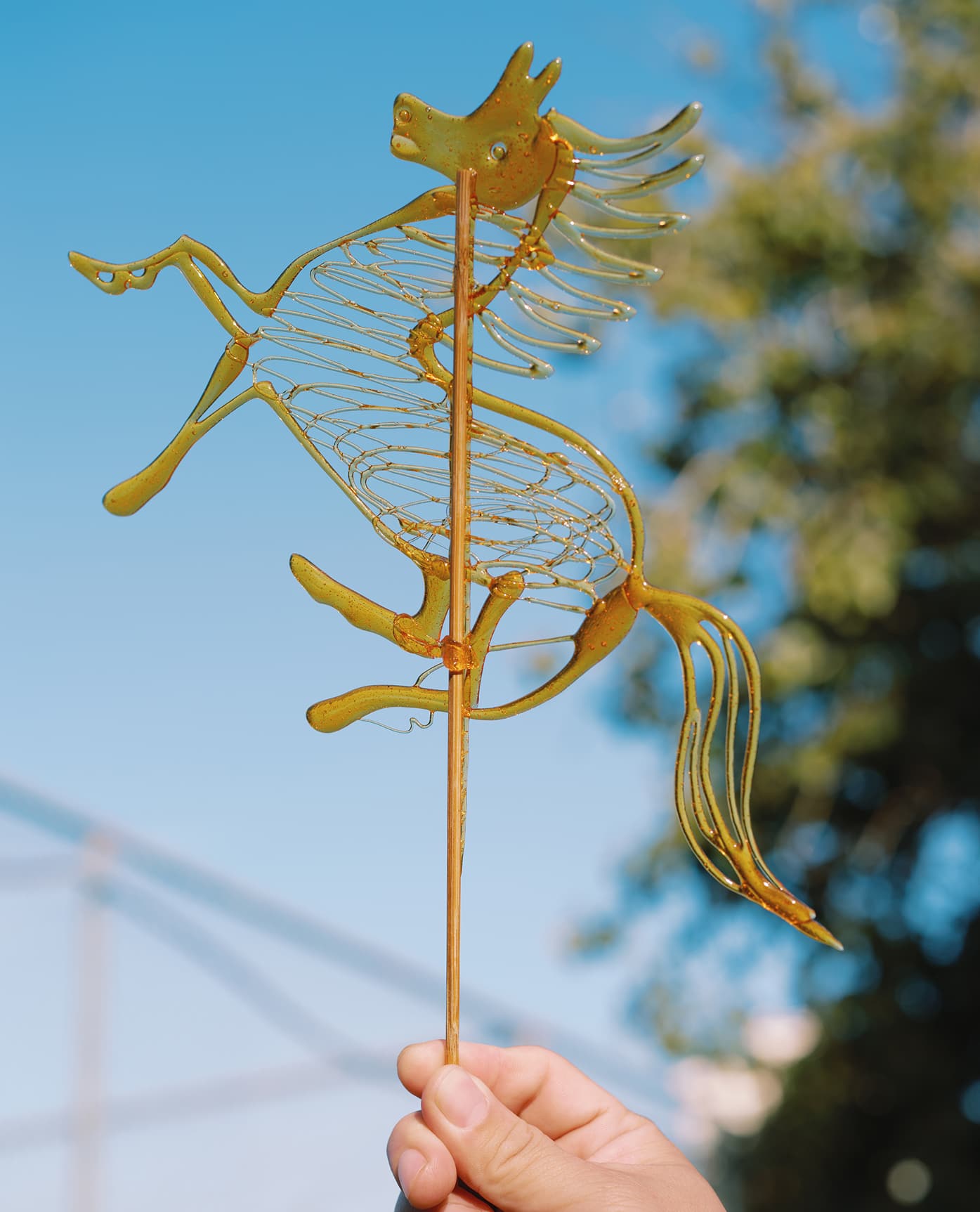 On Year of the Horse