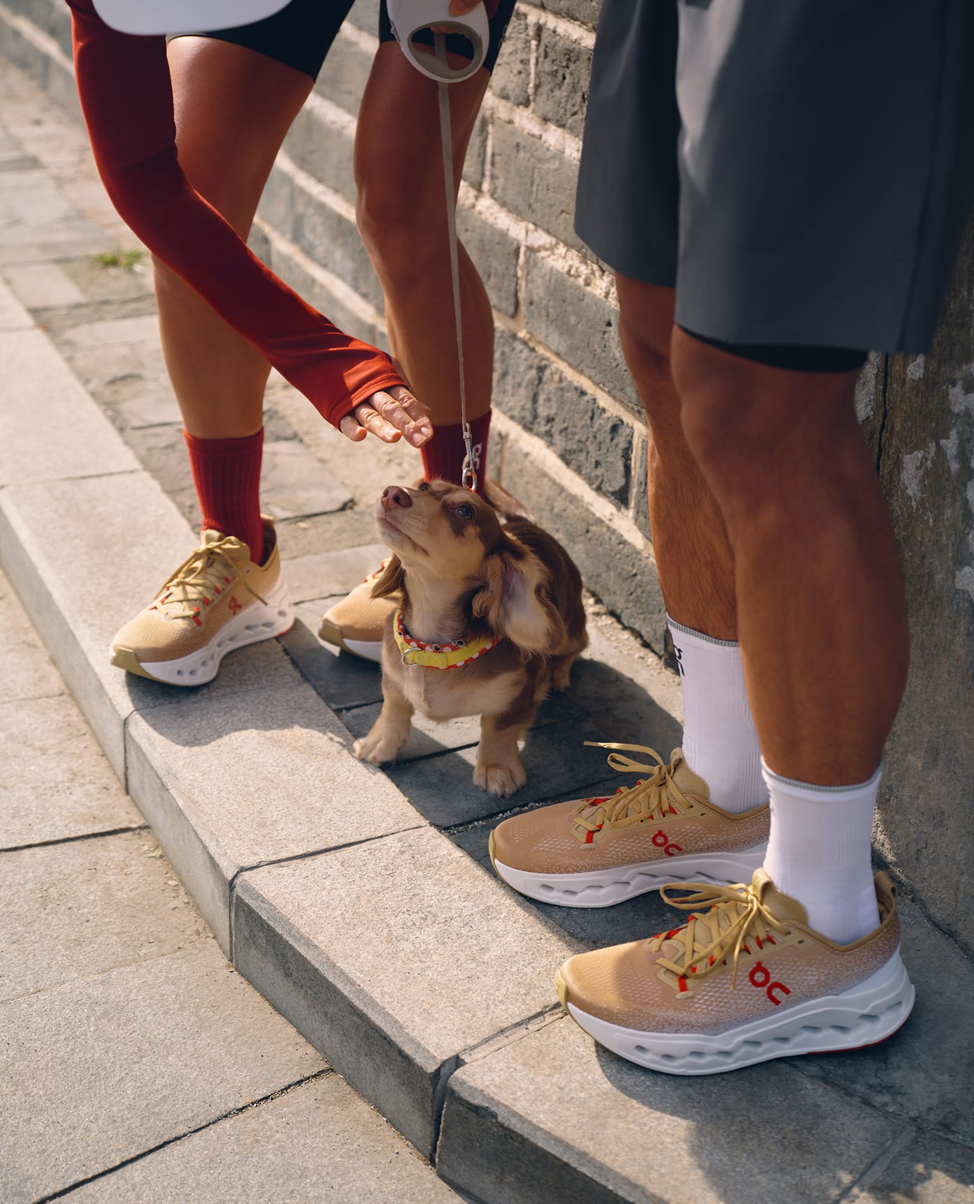 On Year of the Horse