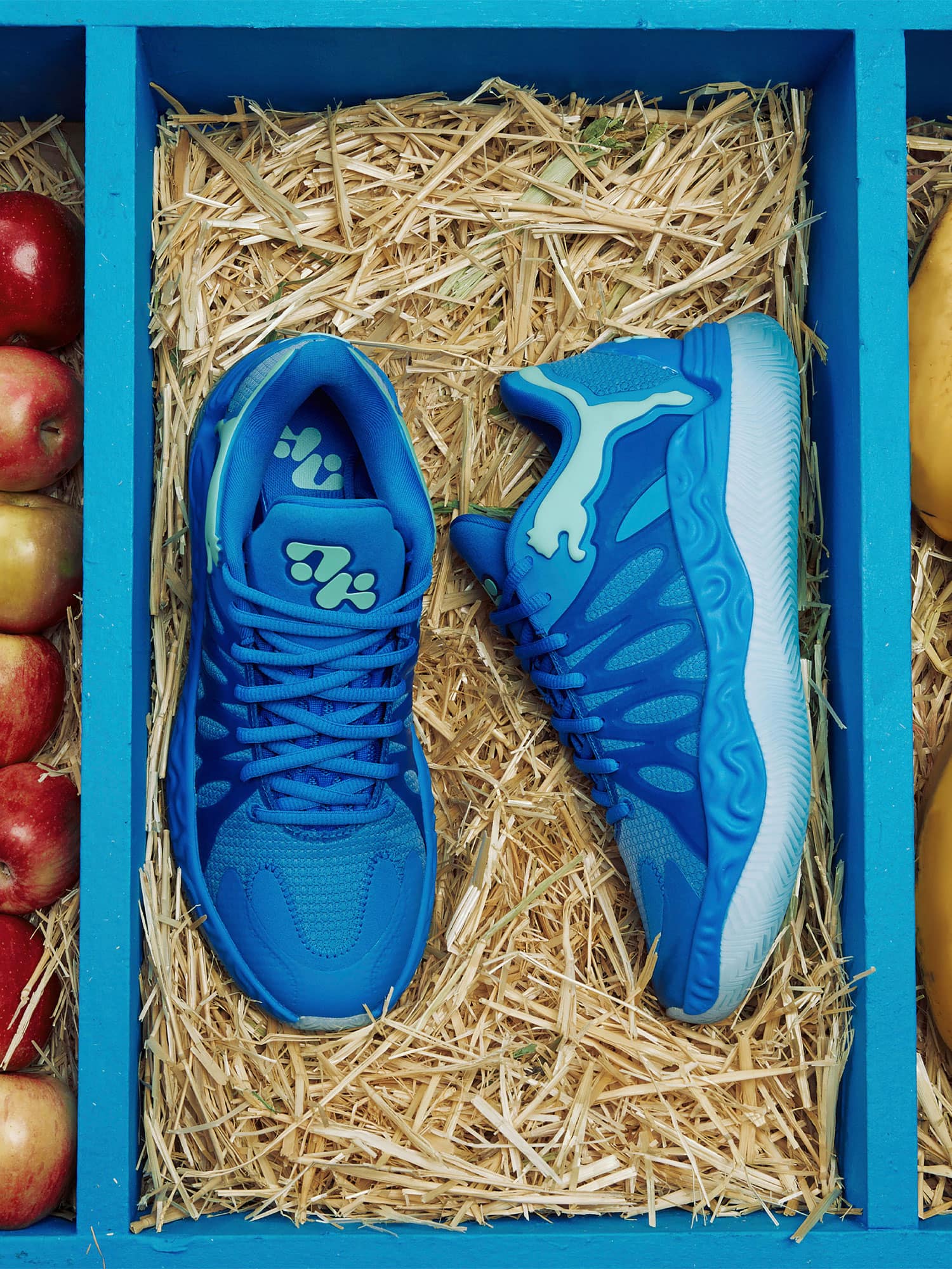 adidas-gazelle-madeinitaly