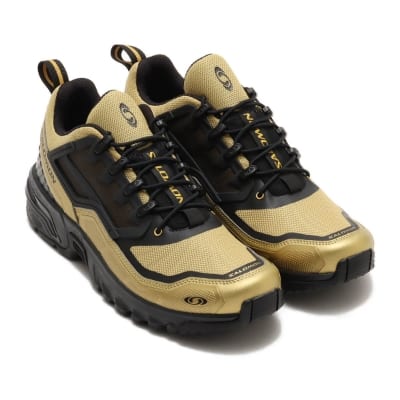 salomon-acs-ft-lp-2