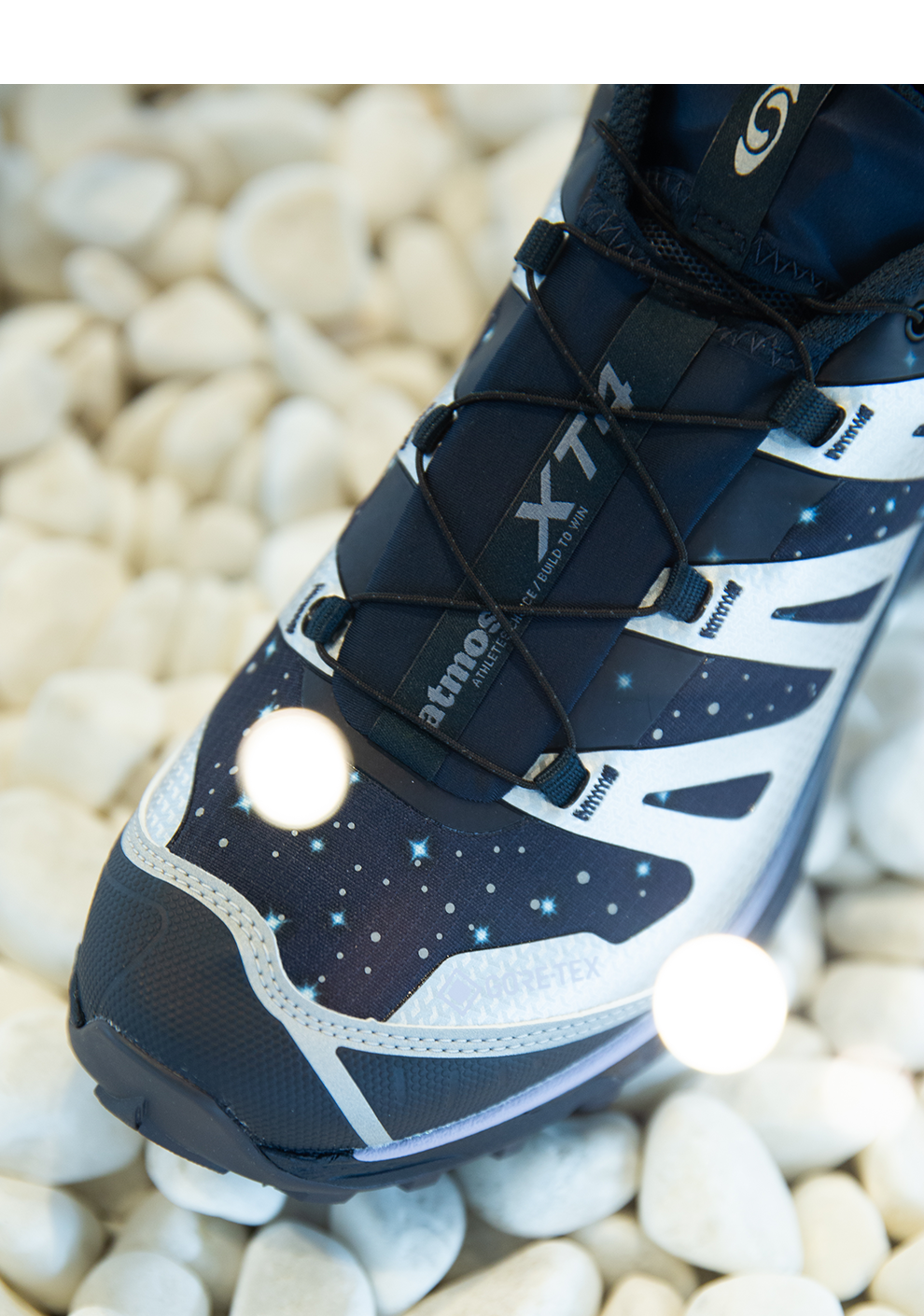 Salomon XT-4 GTX atmos