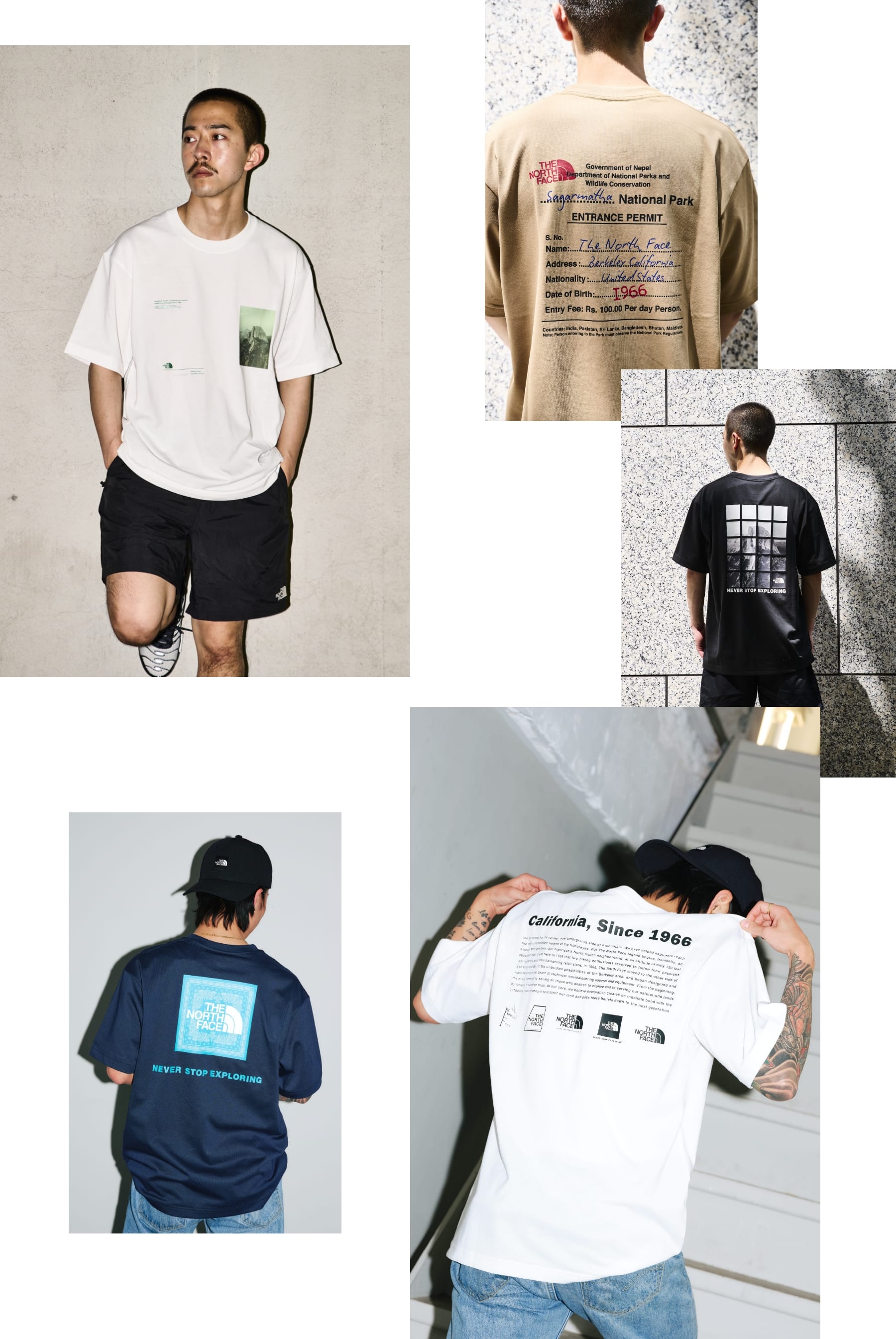 THE NORTH FACE Tシャツ 人気