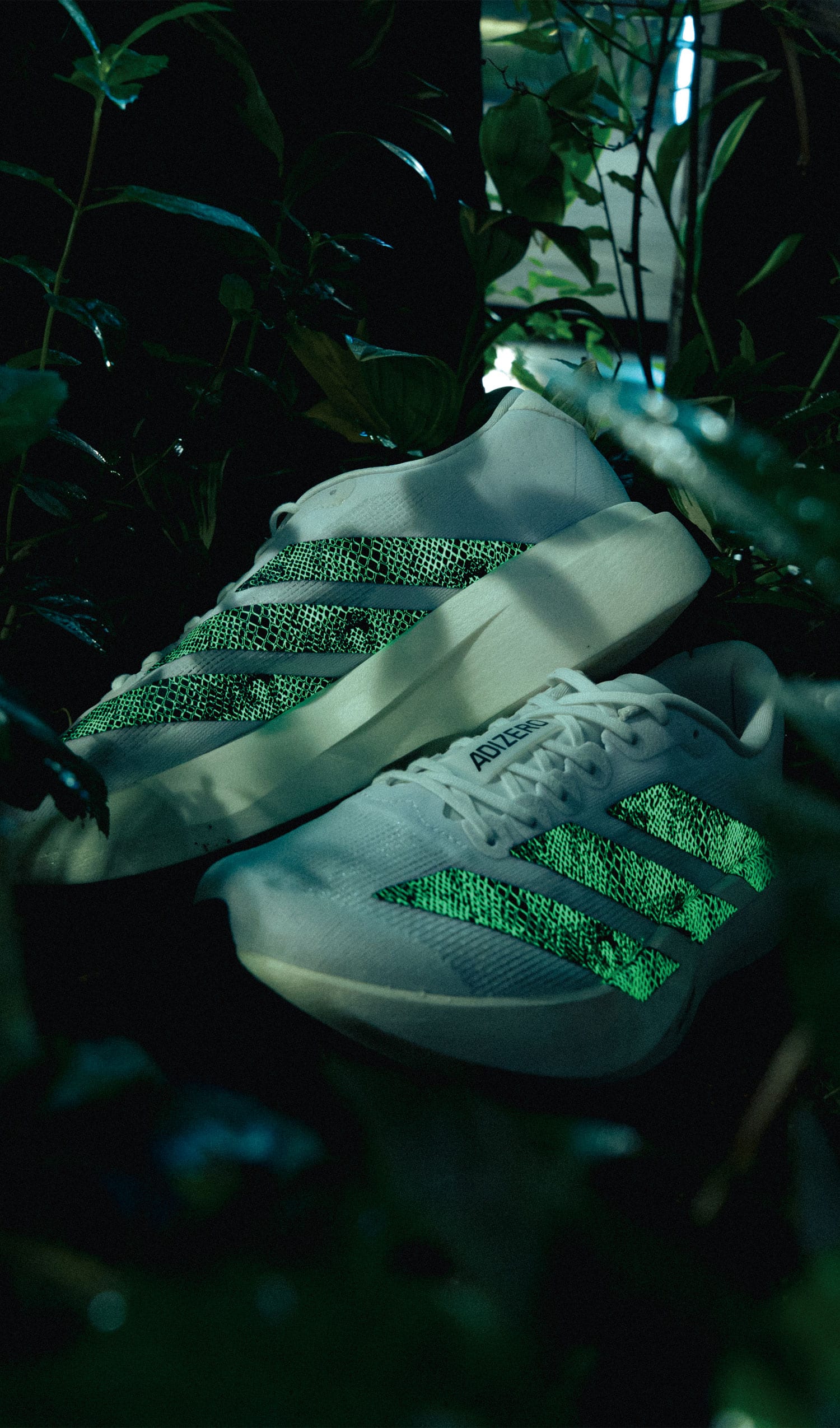 adidas ADIZERO EVO SL atmos G-SNK