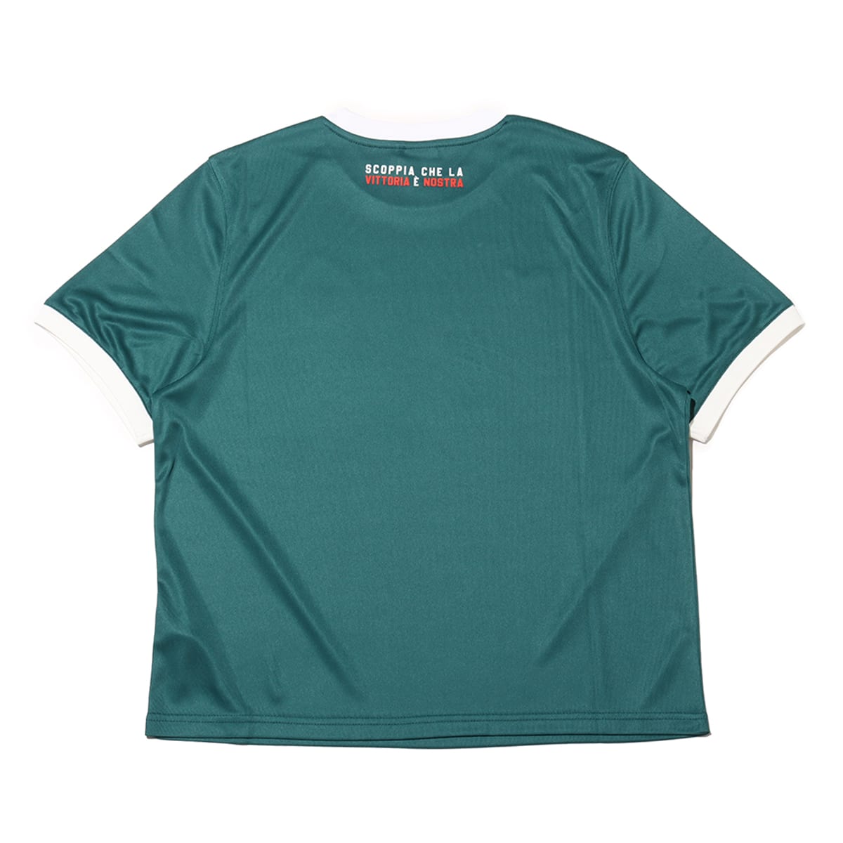 PUMA PUMA X PALMEIRAS RINGER TEE MALACHITE の画像