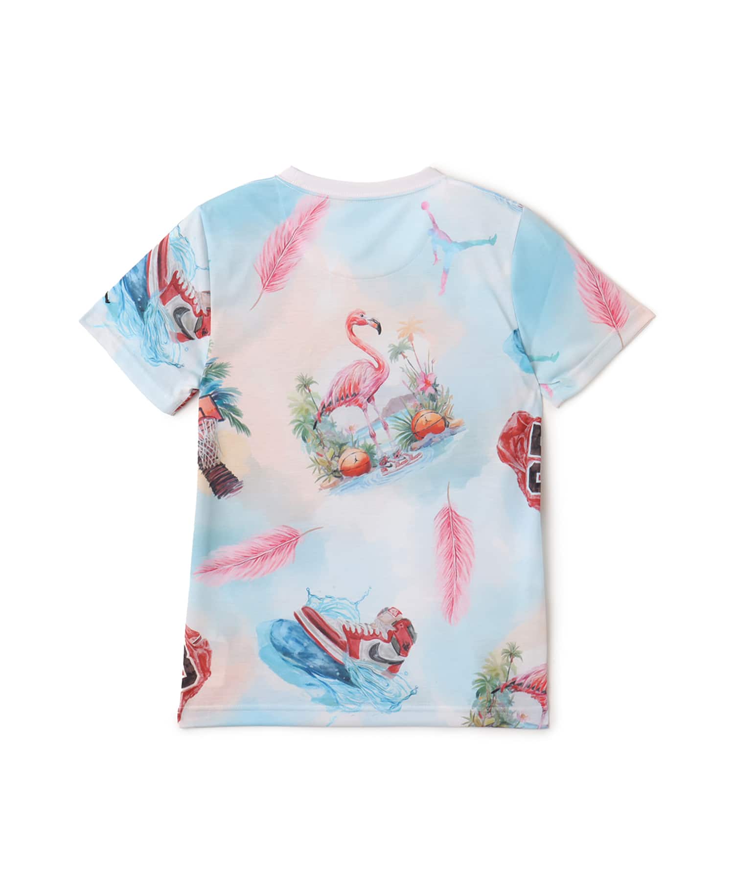 JORDAN BRAND JDB JORDAN FLAMINGO AOP SS TEE MULTIの画像