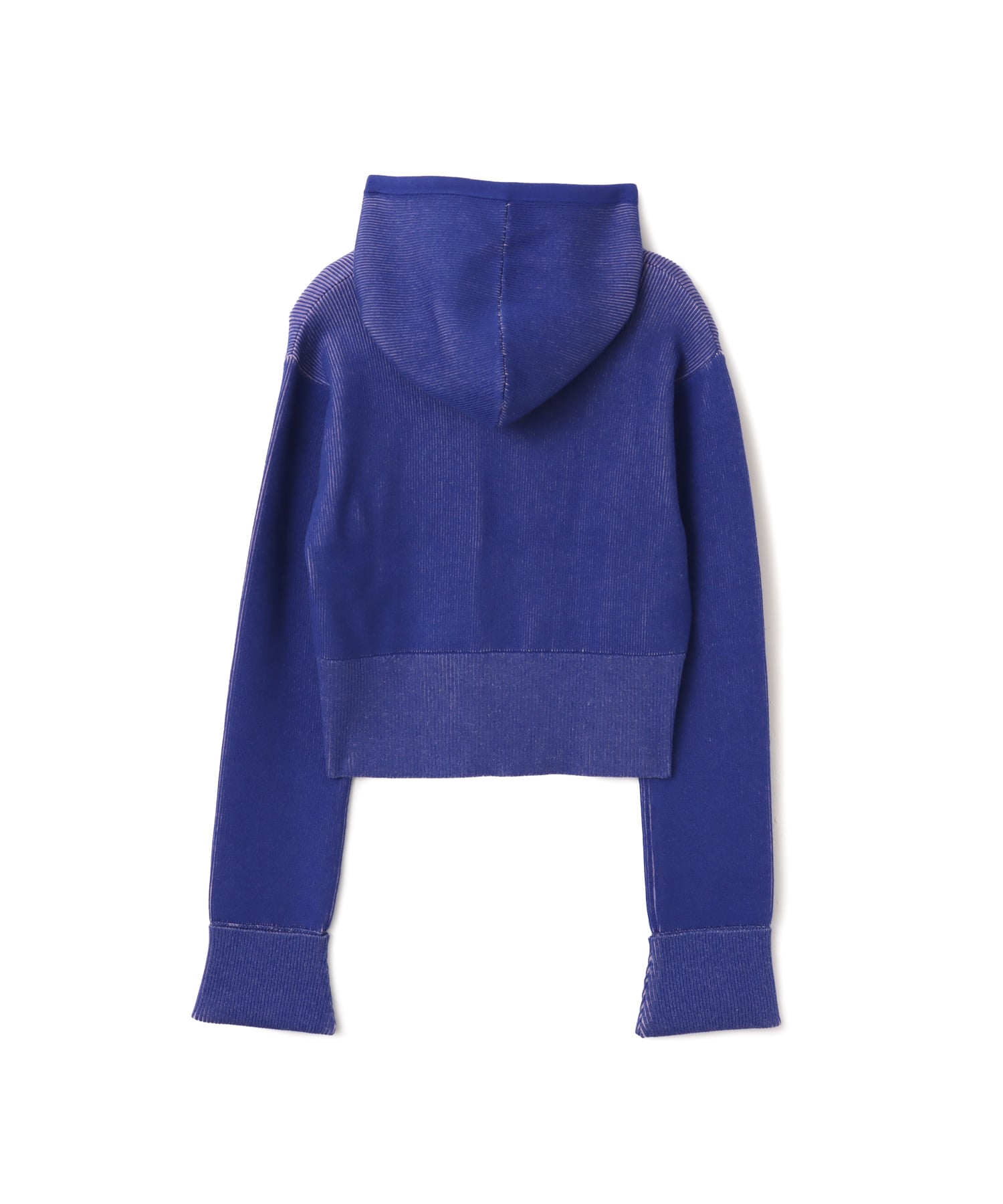 atmos pink Plating Knit Hoodie BLUEの画像