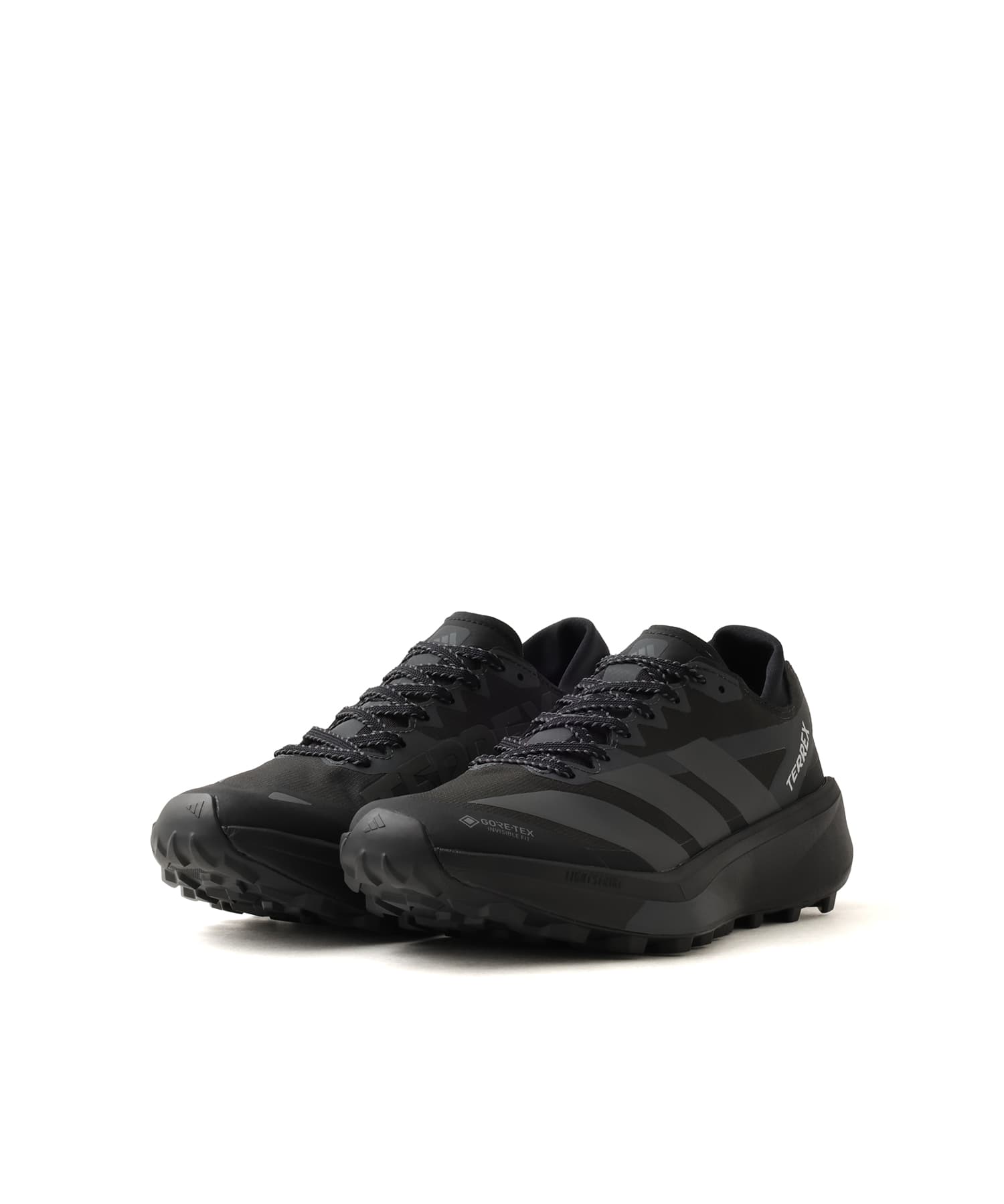 adidas TERREX AGRAVIC GTX 2 CBLACK/GRESIX/CARBONの画像
