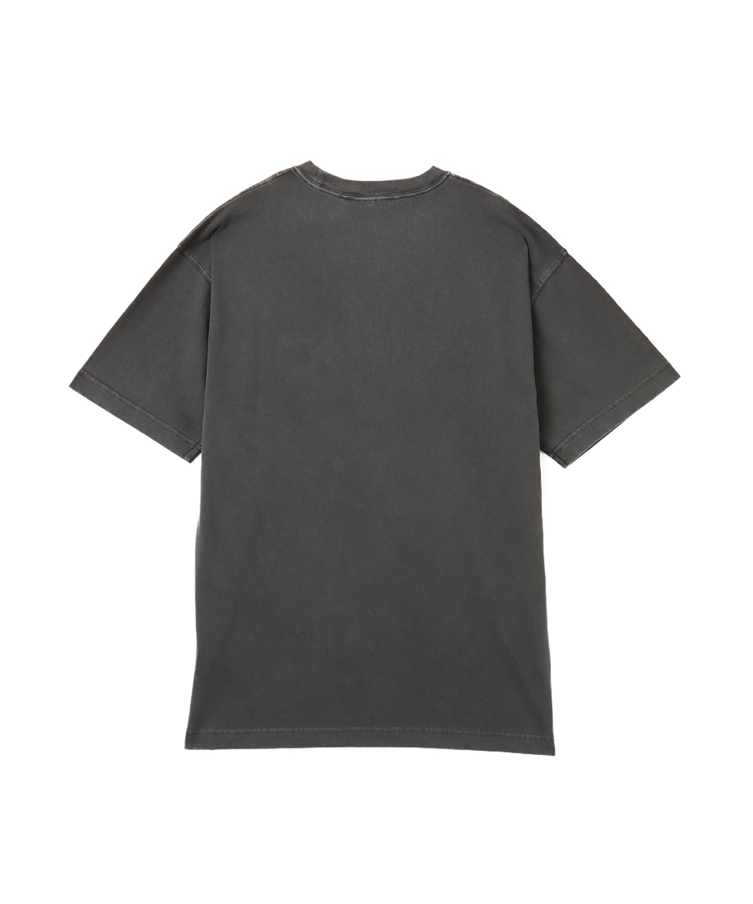 CARHARTT S/S NELSON T-SHIRT Graphite（カーハート ショート