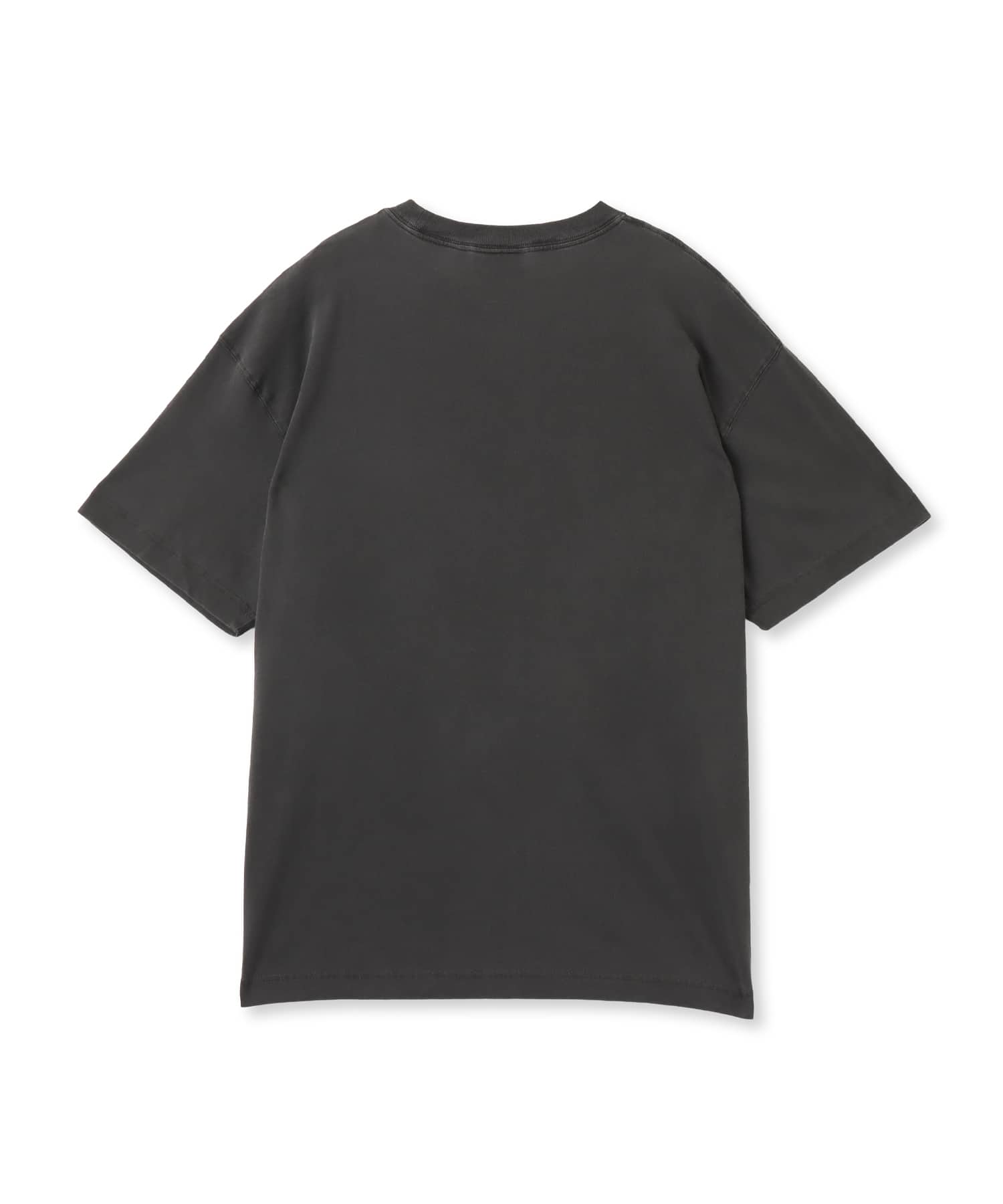 CARHARTT S/S NELSON T-SHIRT Black garment dyedの画像