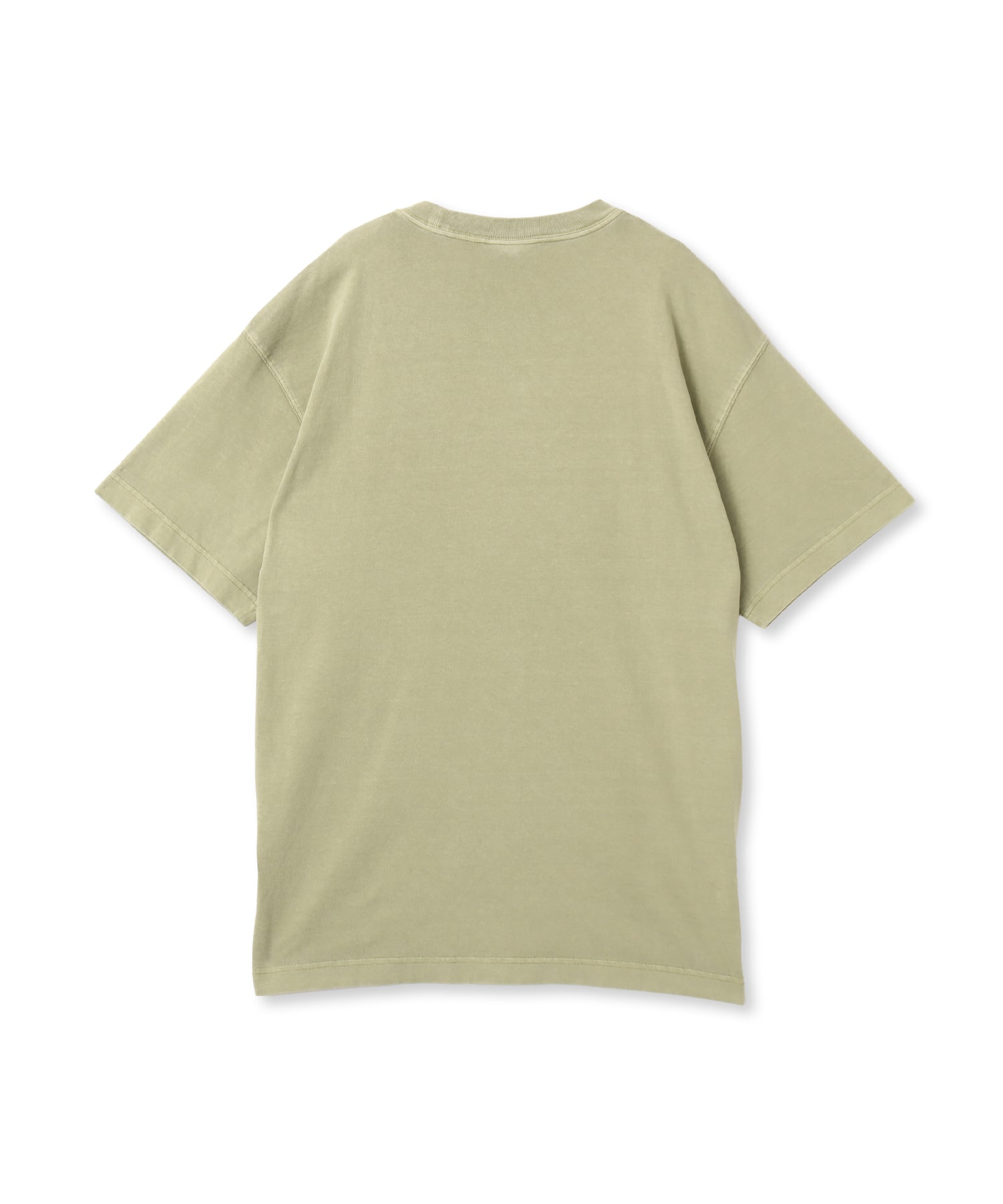 CARHARTT S/S NELSON T-SHIRT Gentle Green garment dyedの画像