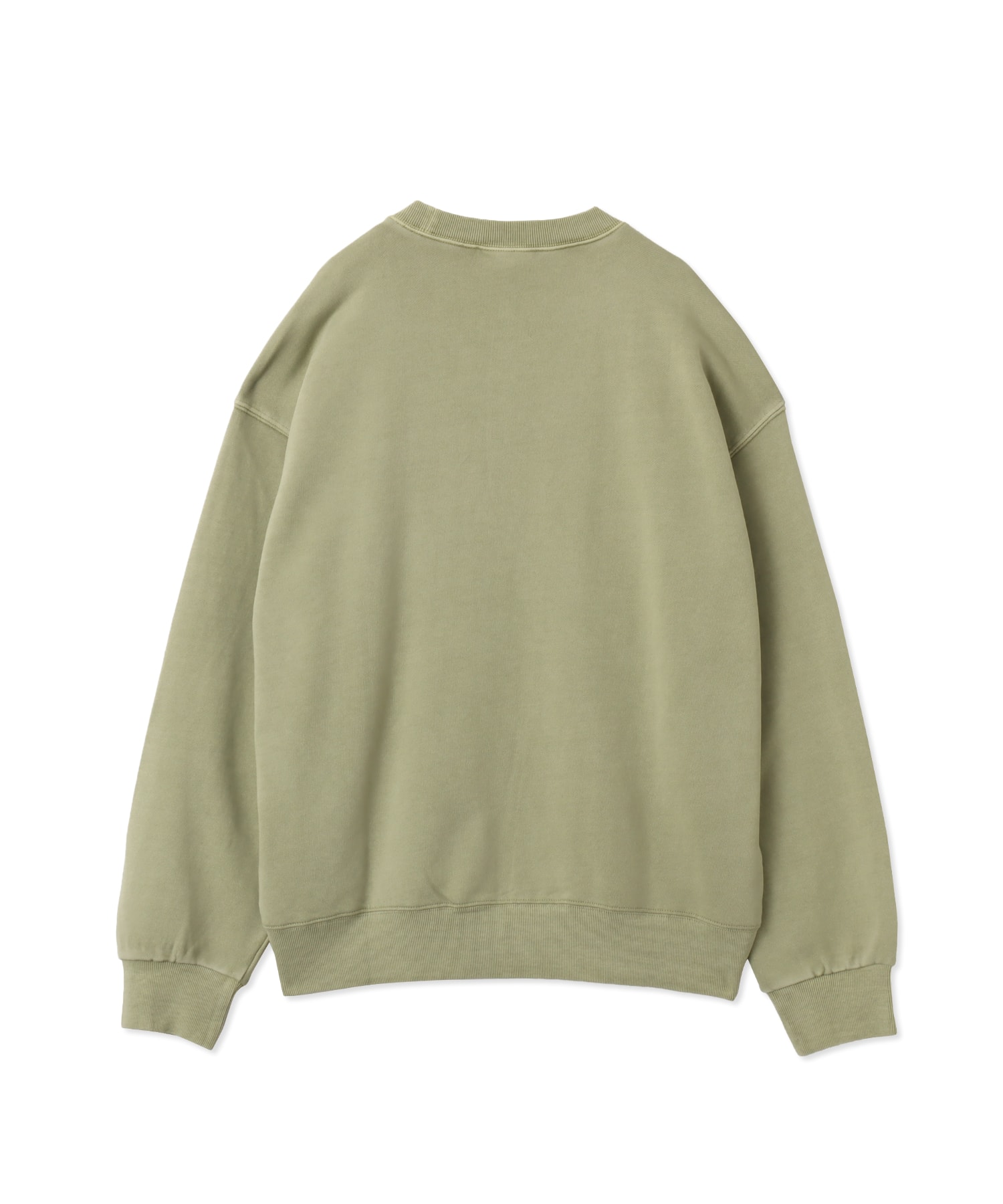 CARHARTT NELSON SWEAT Gentle Green garment dyedの画像