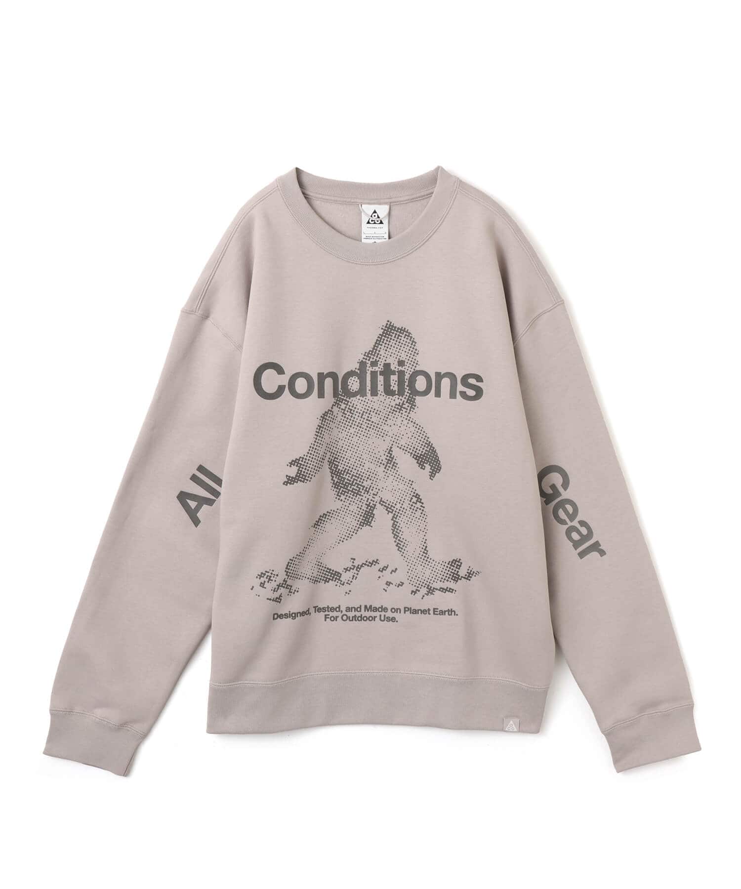 NIKE AS U ACG TF TUFF FLC PO OC SSN GRAYの画像