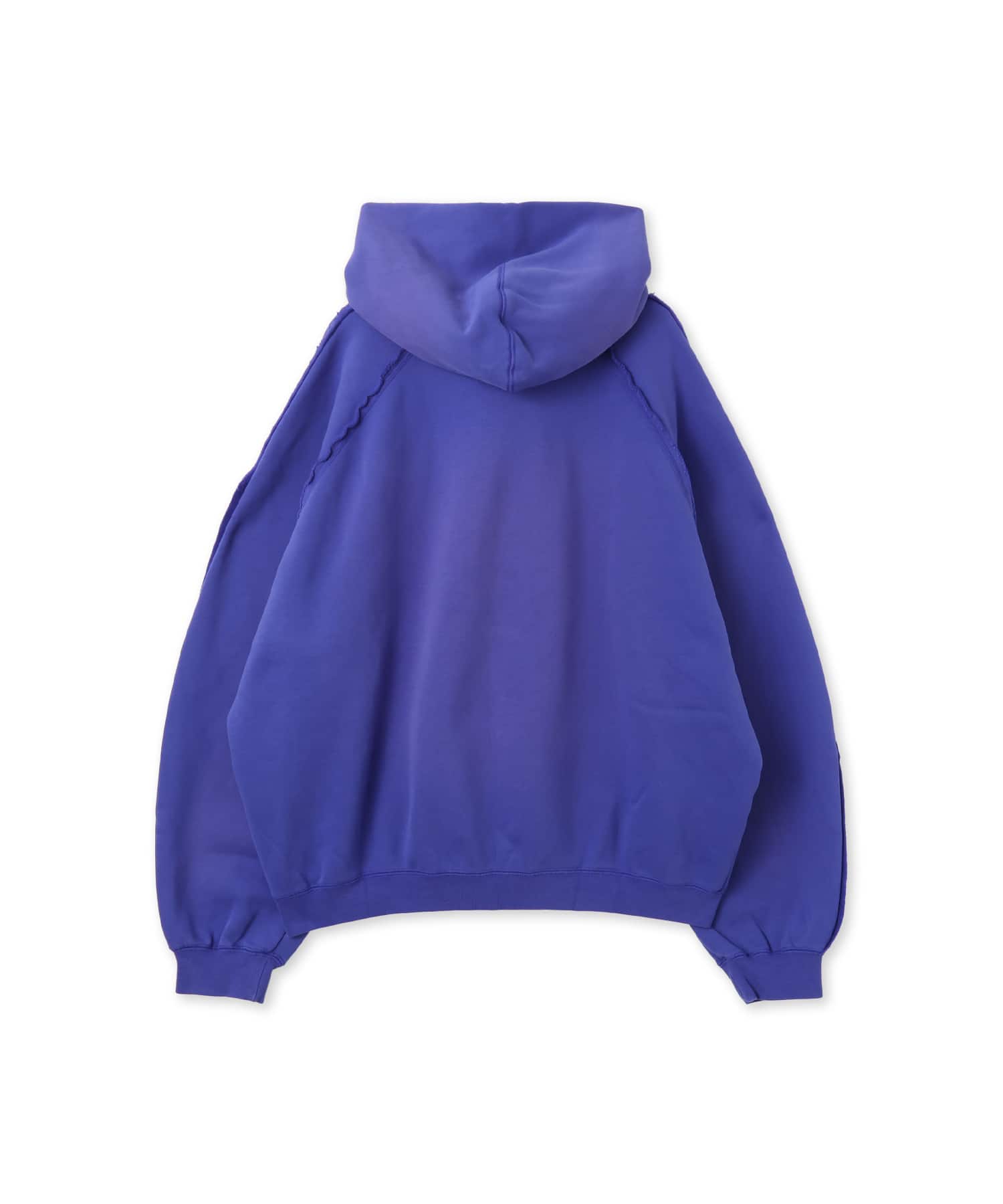 JORDAN BRAND M J FLT WINGS FLC PO PURPLEの画像