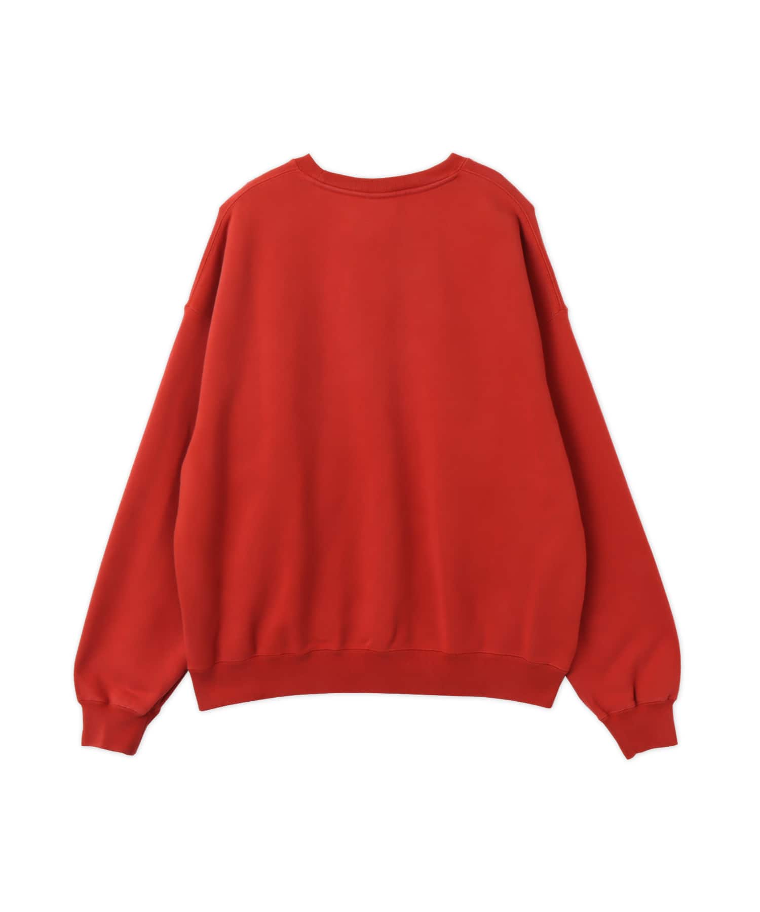JORDAN BRAND BIKE FLEECE L/S CREW CINNABARの画像