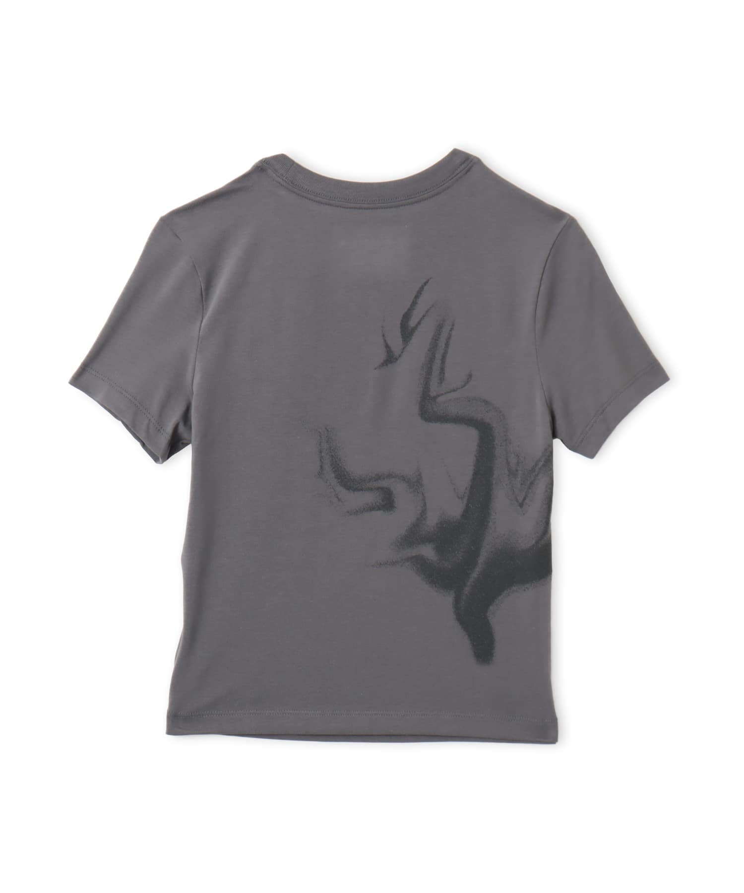 JORDAN BRAND AS W J SS TEE WJDN APLA IRON GREYの画像