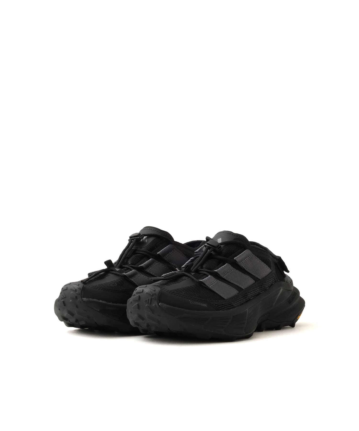 adidas TERREX FREEHIKER SL SHANDAL CBLACK/GREFIV/GREFIVの画像