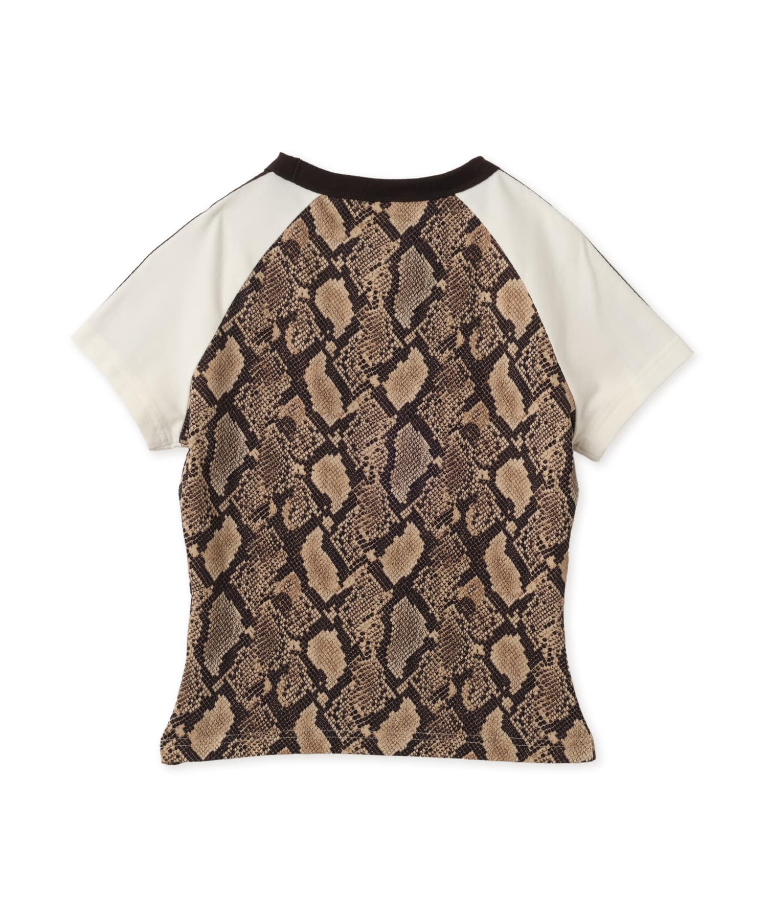 adidas SNAKE PRINT CALI TEE リネン/マジックベージュの画像