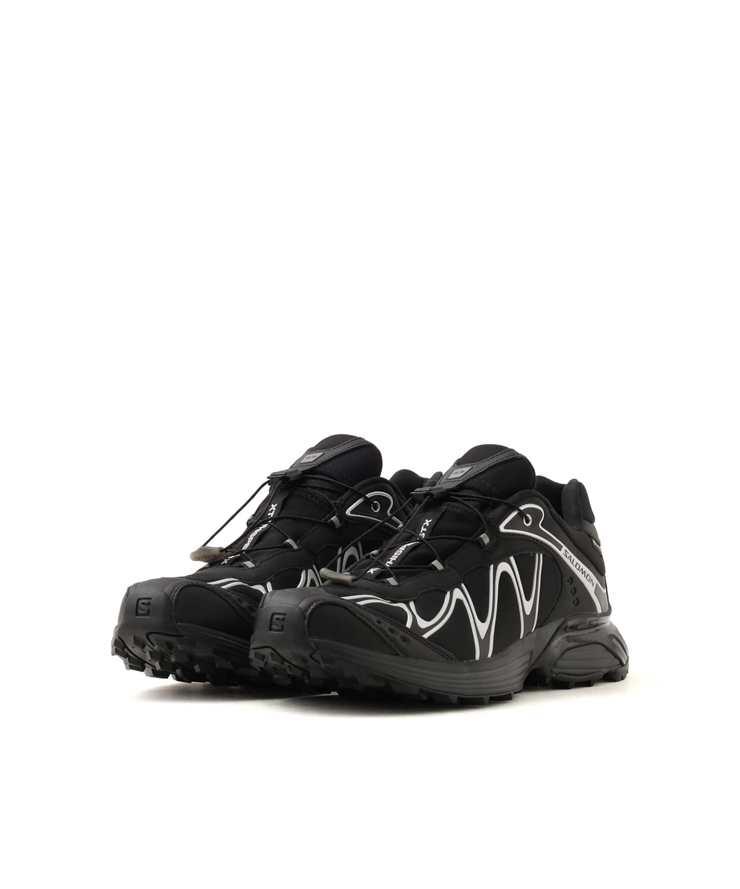 SALOMON XT-WHISPER GTX BLACK/BLACK/FTW SILVERの画像