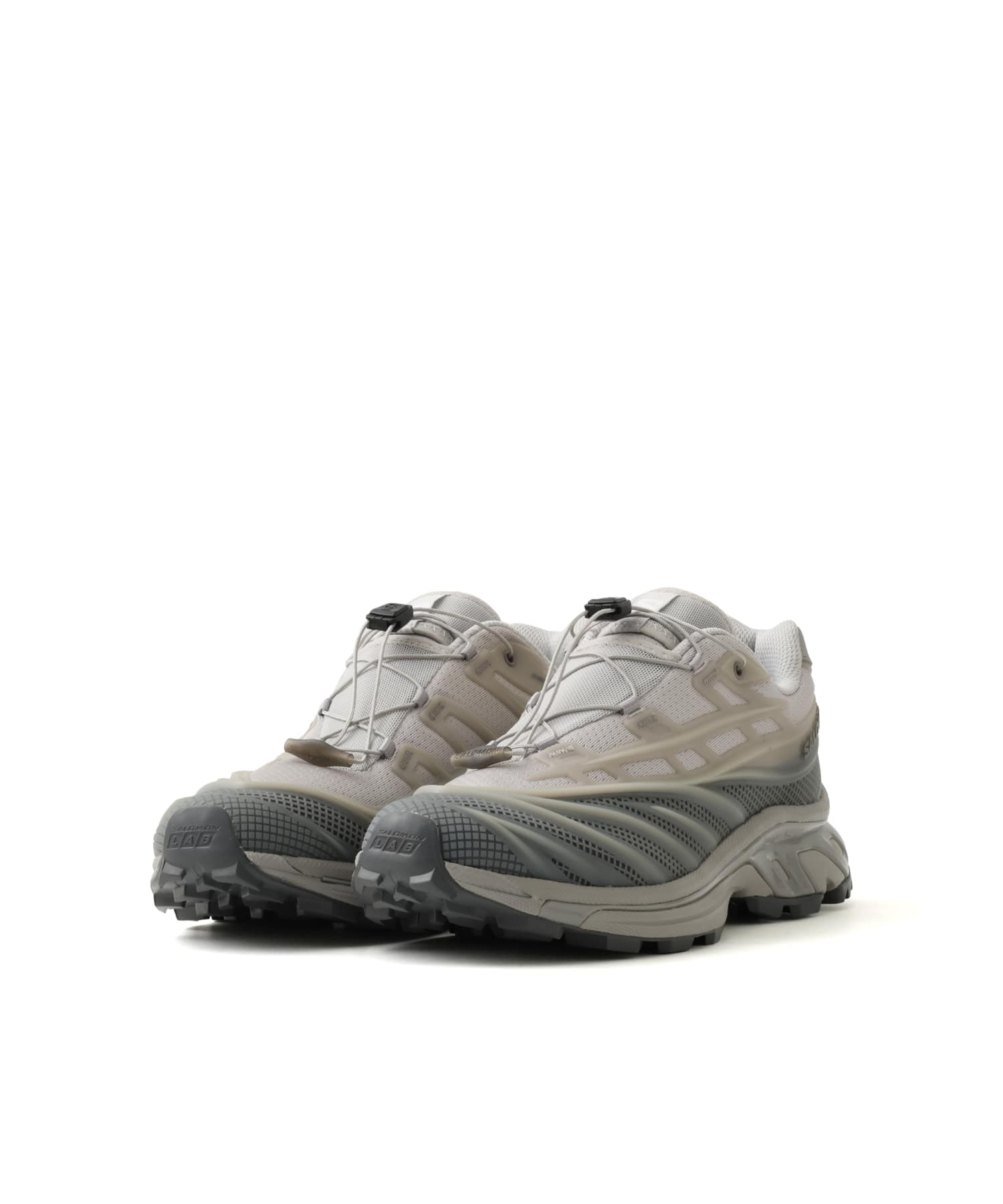 SALOMON XT-EVO ALLOY/CASTLEROCK/FTW SILVERの画像