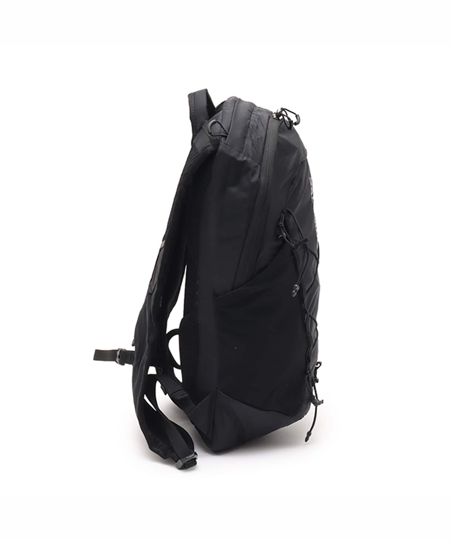 SALOMON XT 10 BLACK/の画像