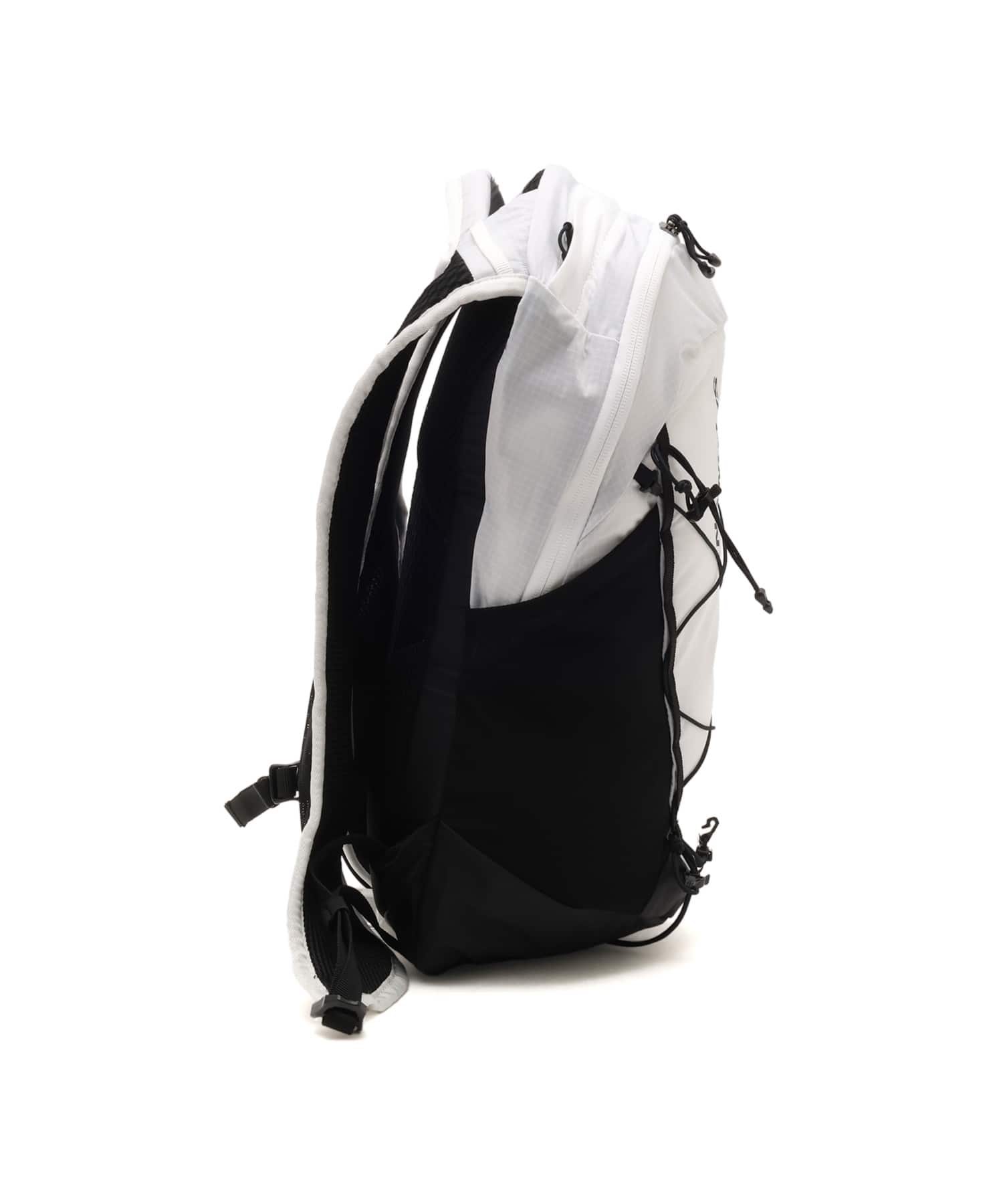 SALOMON XT 10 WHITE/BLACKの画像