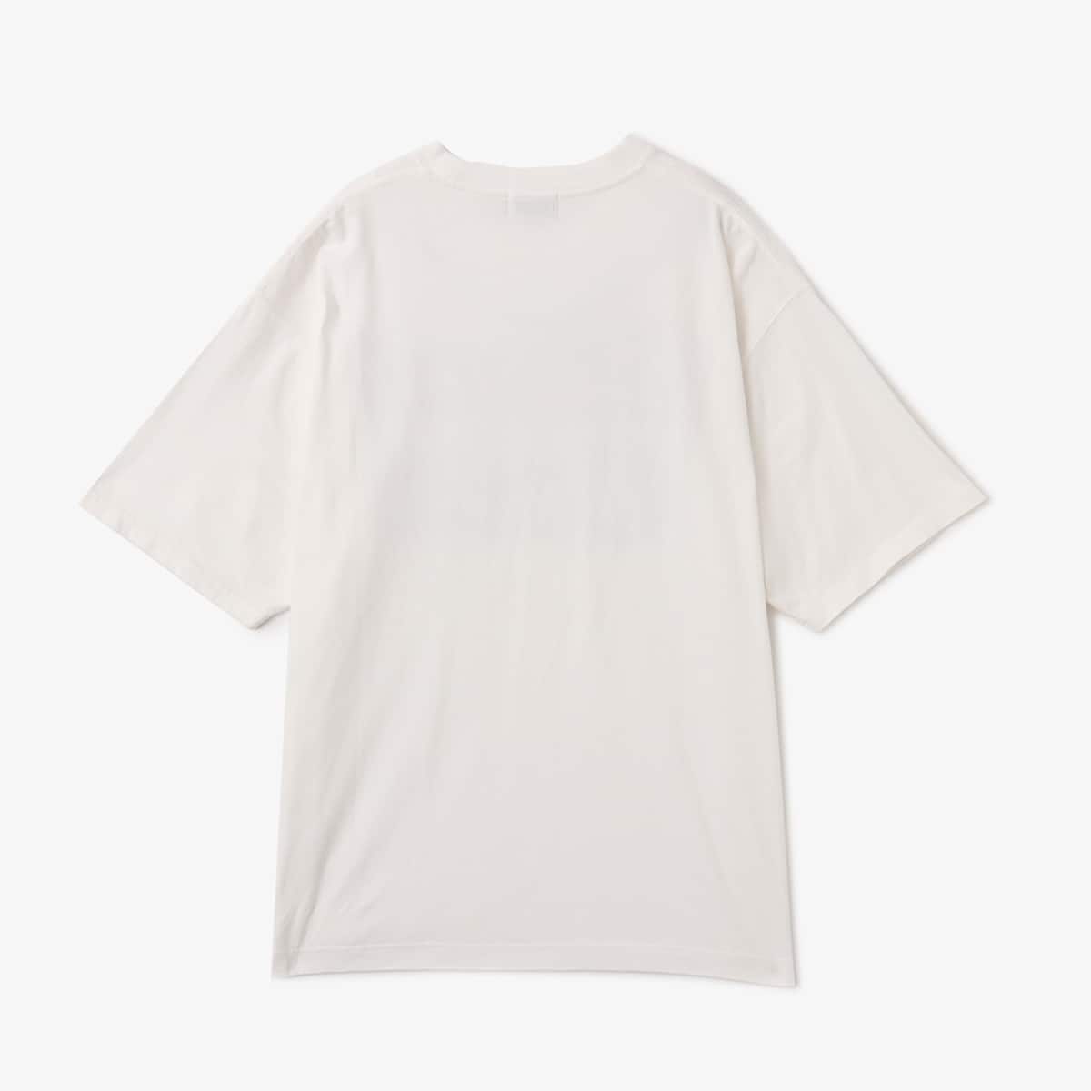 atmos Flocky Print T-shirt WHITE の画像