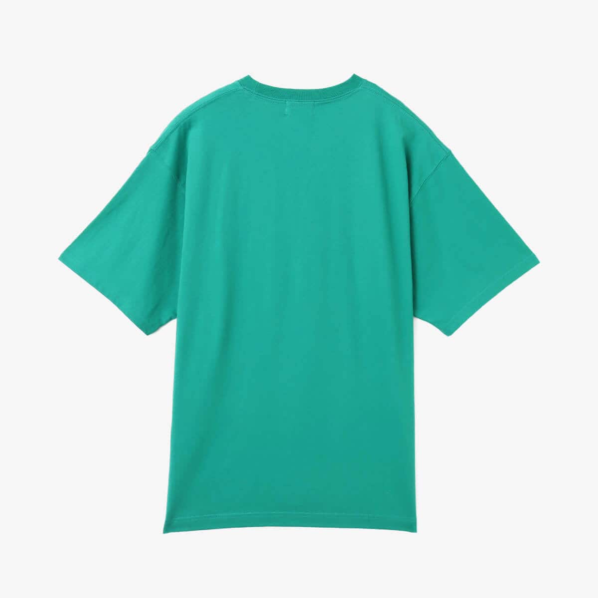 atmos College Logo Crack Print T-shirt GREEN の画像