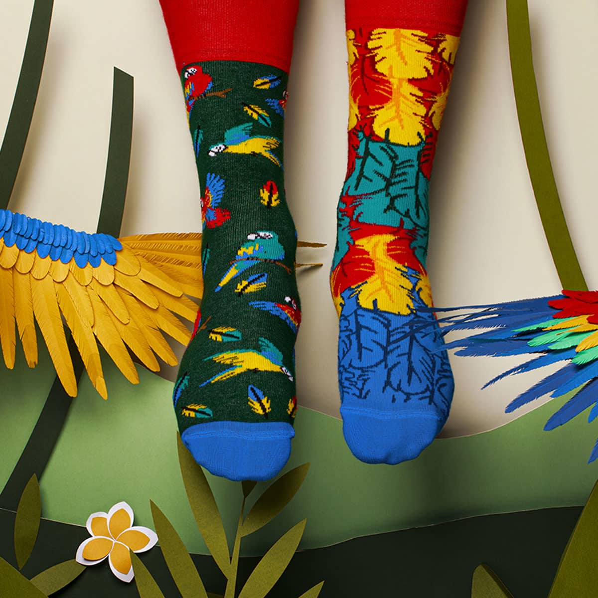 MANY MORNINGS Regular Socks Paradise Parrot 20FA-Iの画像