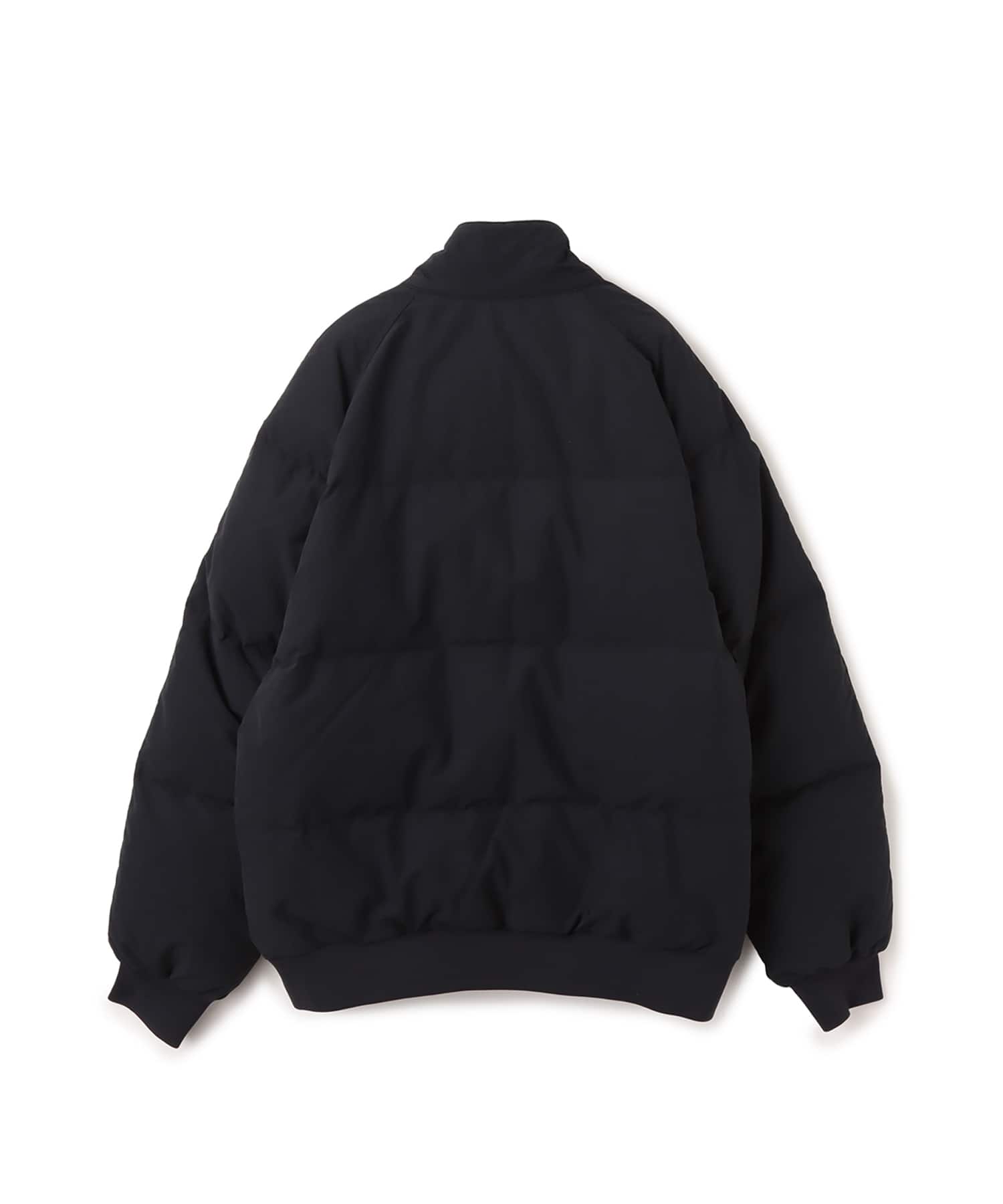 THE NORTH FACE PURPLE LABEL Field Down Jacket Blackの画像