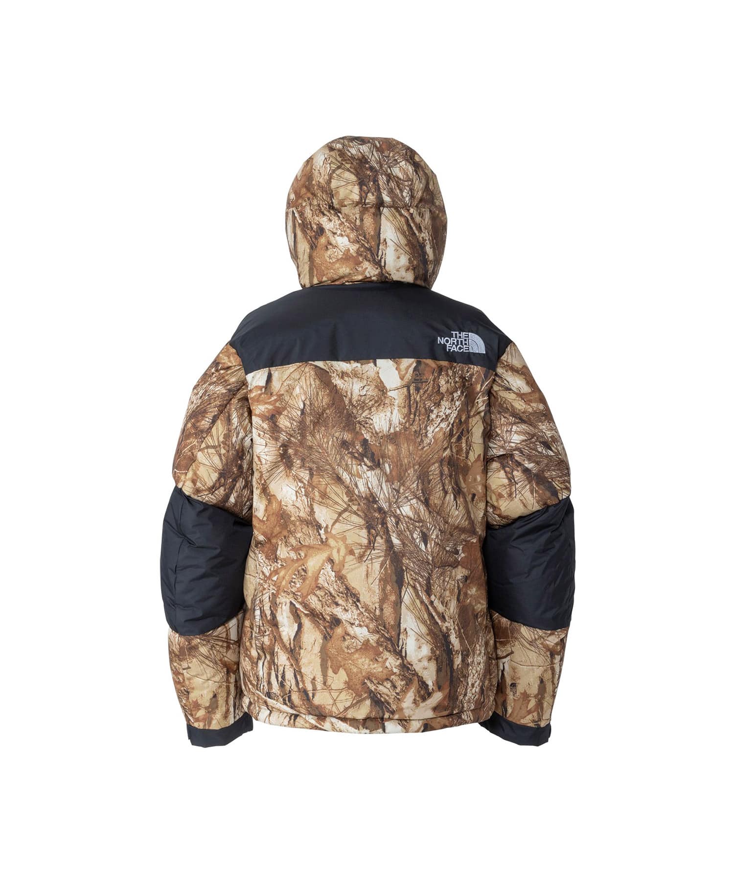 THE NORTH FACE Novelty Baltoro Light Jacket フォレストフロアの画像