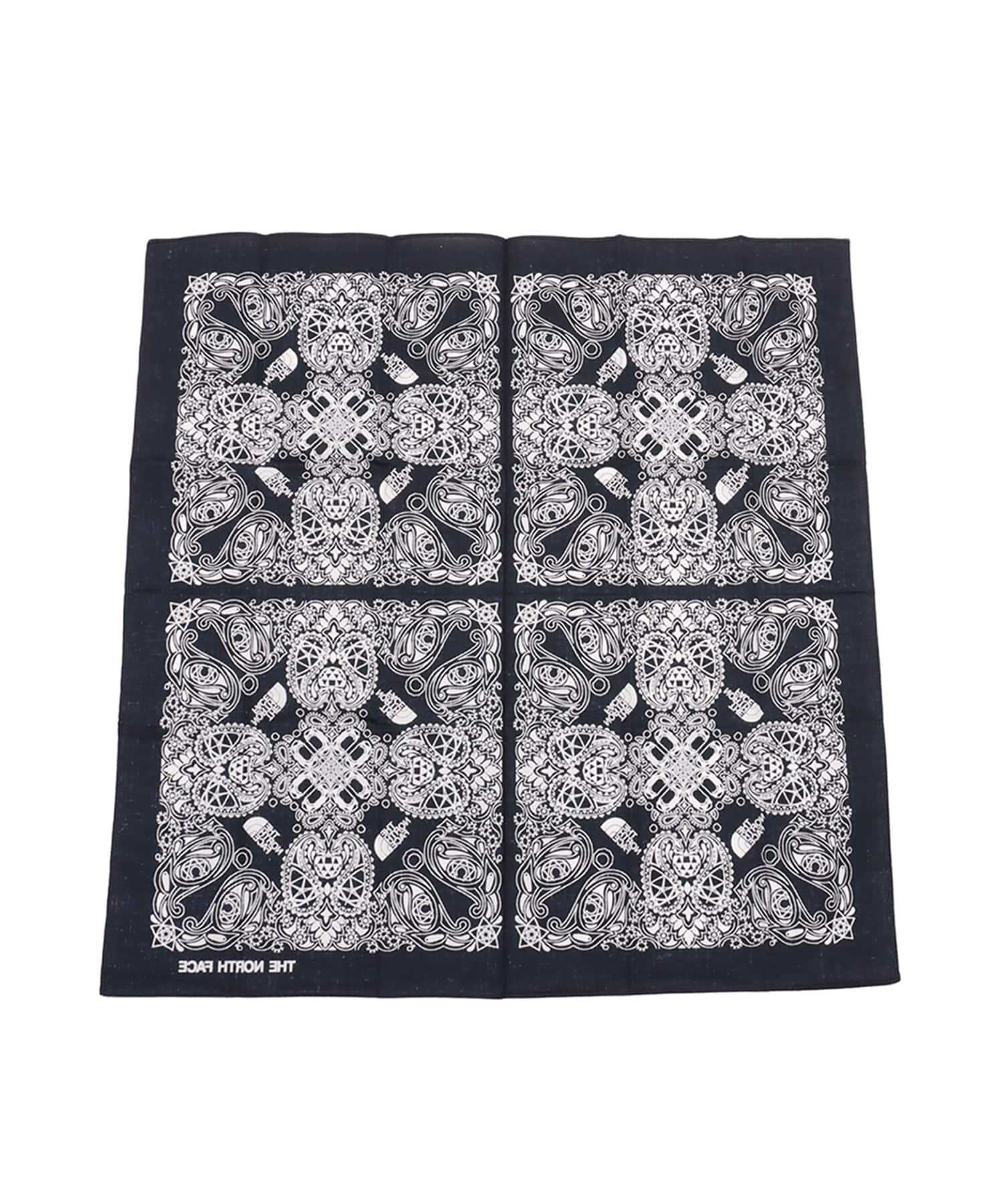THE NORTH FACE Geodome® Paisley Bandana アーバンネイビーの画像