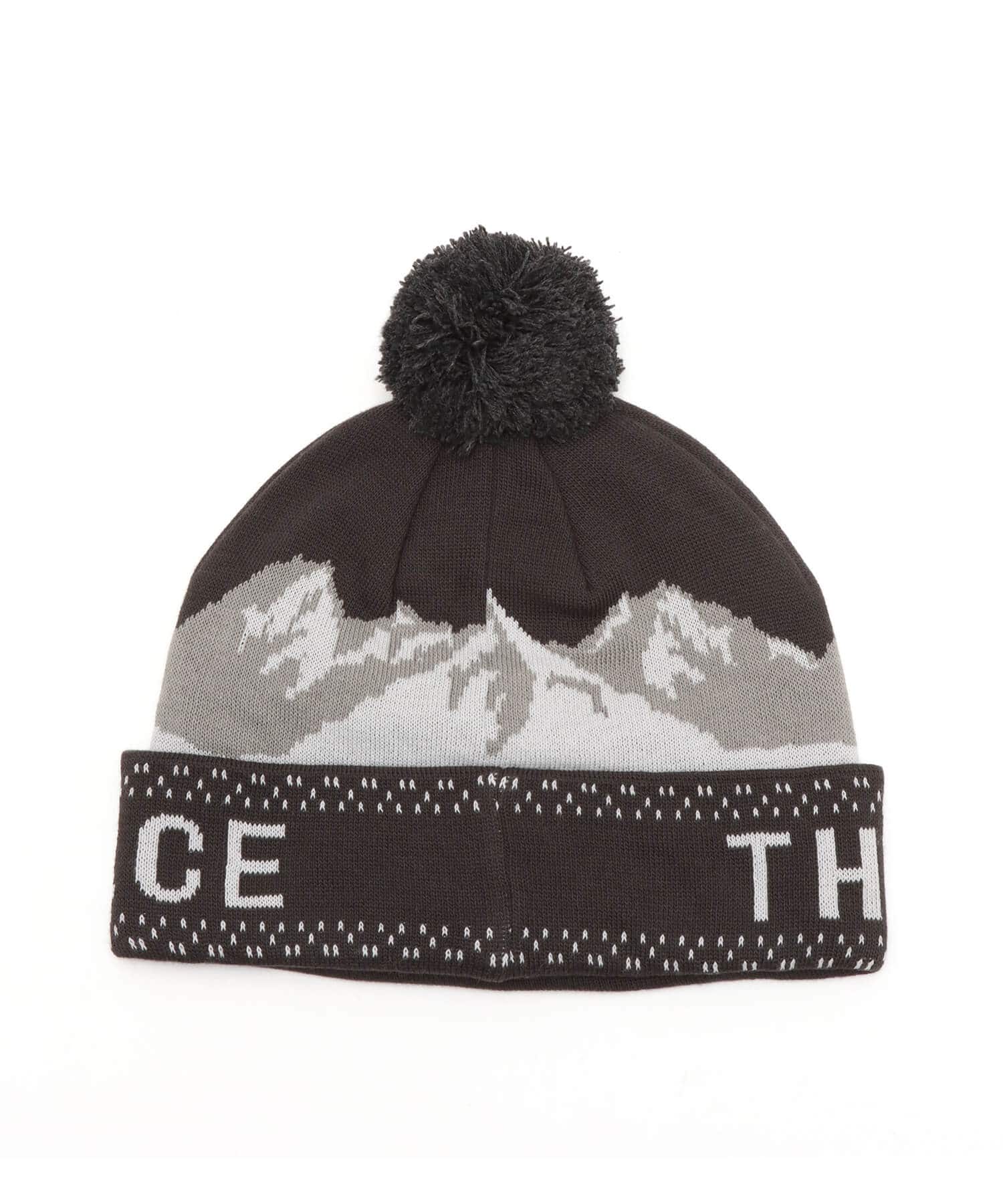 THE NORTH FACE Snow Bum Beanie アスファルトグレーの画像