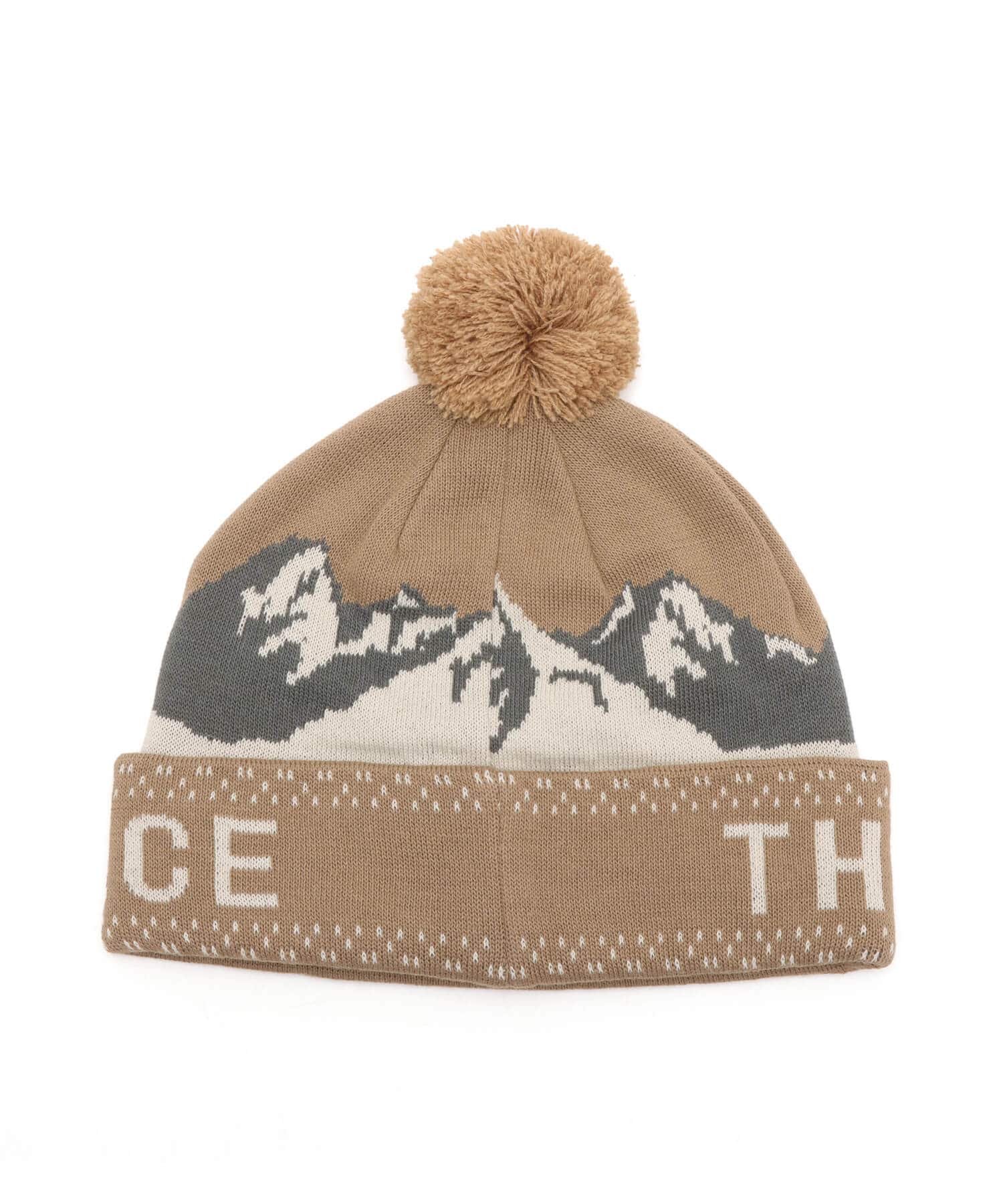 THE NORTH FACE Snow Bum Beanie マッシュルームの画像