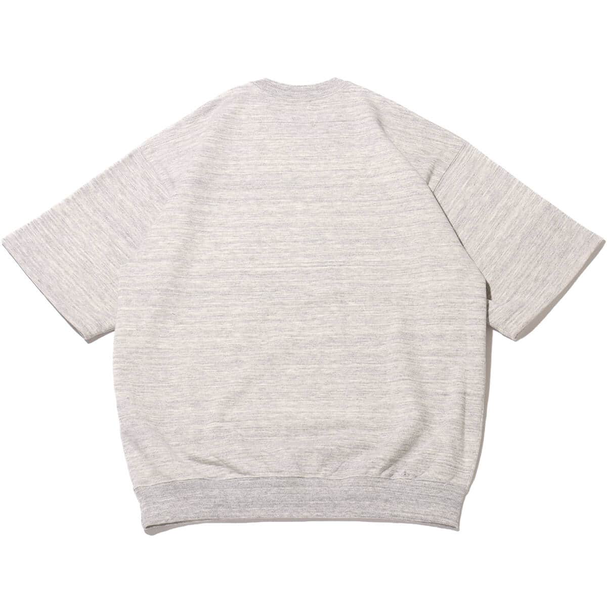 THE NORTH FACE H/S Sweat Tee ミックスグレー 24SS-I（ザ