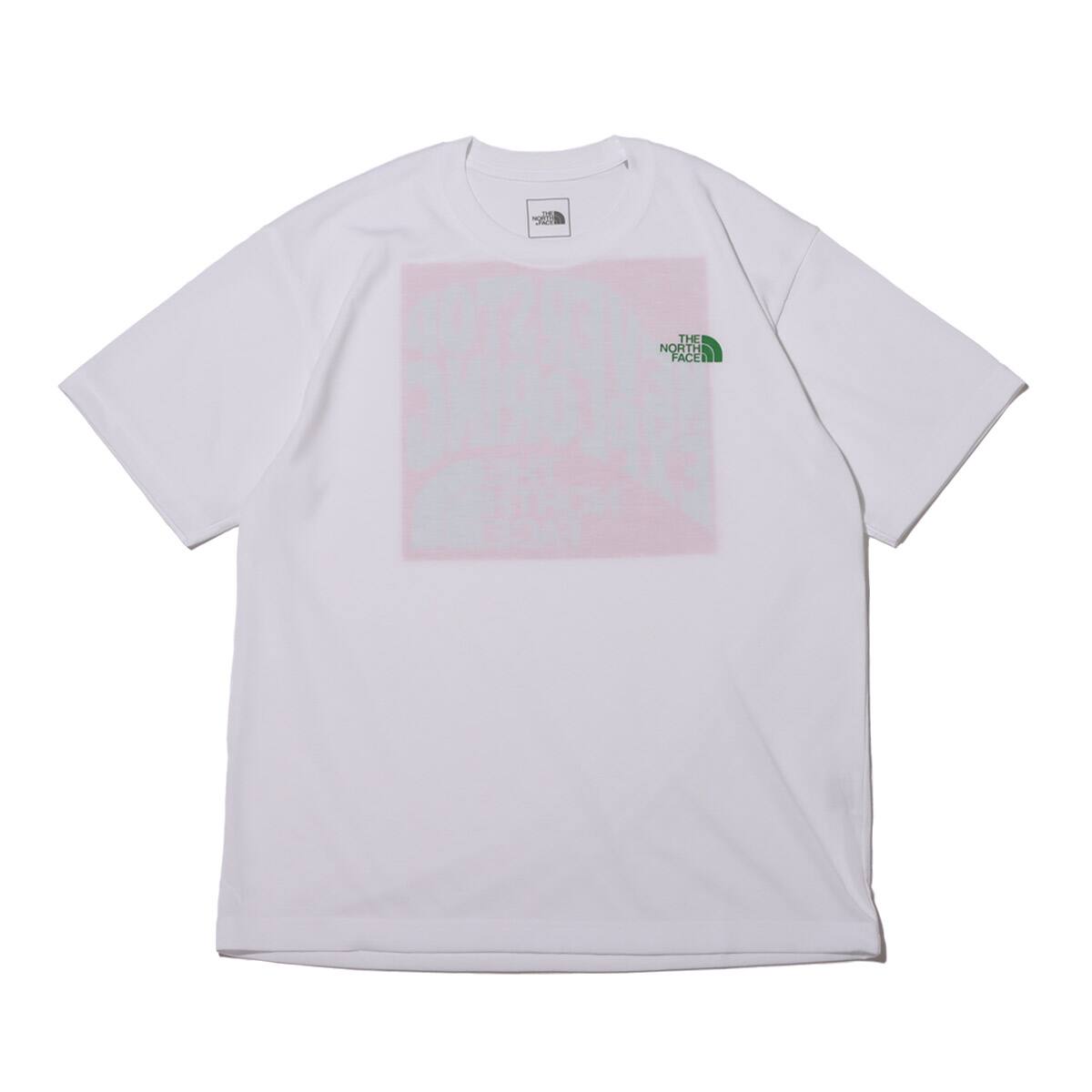 THE NORTH FACE S/S CONTOUR TRIP TEE WHITE 21SS-Iの画像