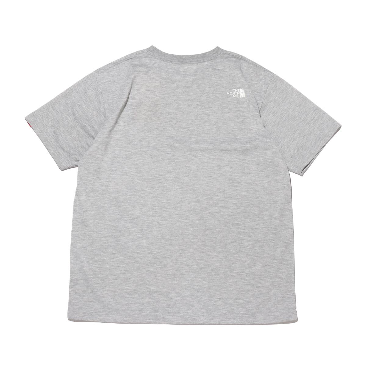 THE NORTH FACE S/S COLOR DOME TEE MIX GRAY 22SS-Iの画像