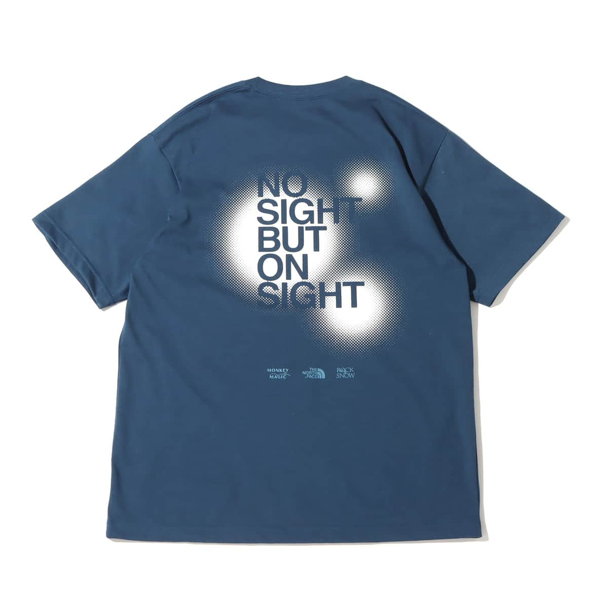 THE NORTH FACE S/S MONKEY MAGIC TEE ブルーウィングティール 22SS-Iの画像