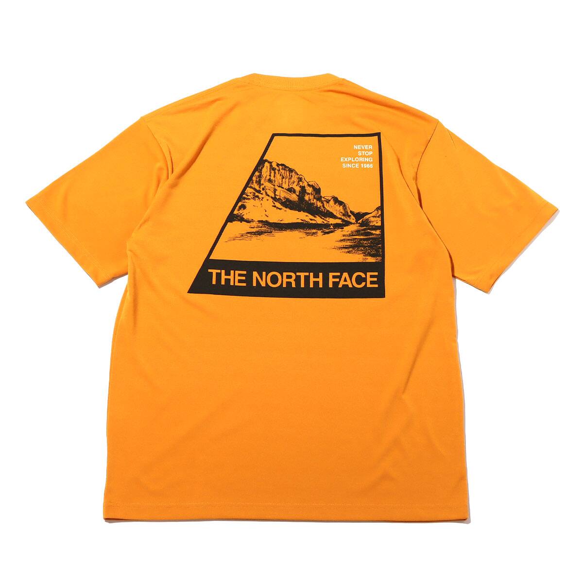 THE NORTH FACE S/S HISTORICAL ORIGIN TEE シトロンイエロー 22SS-Iの画像