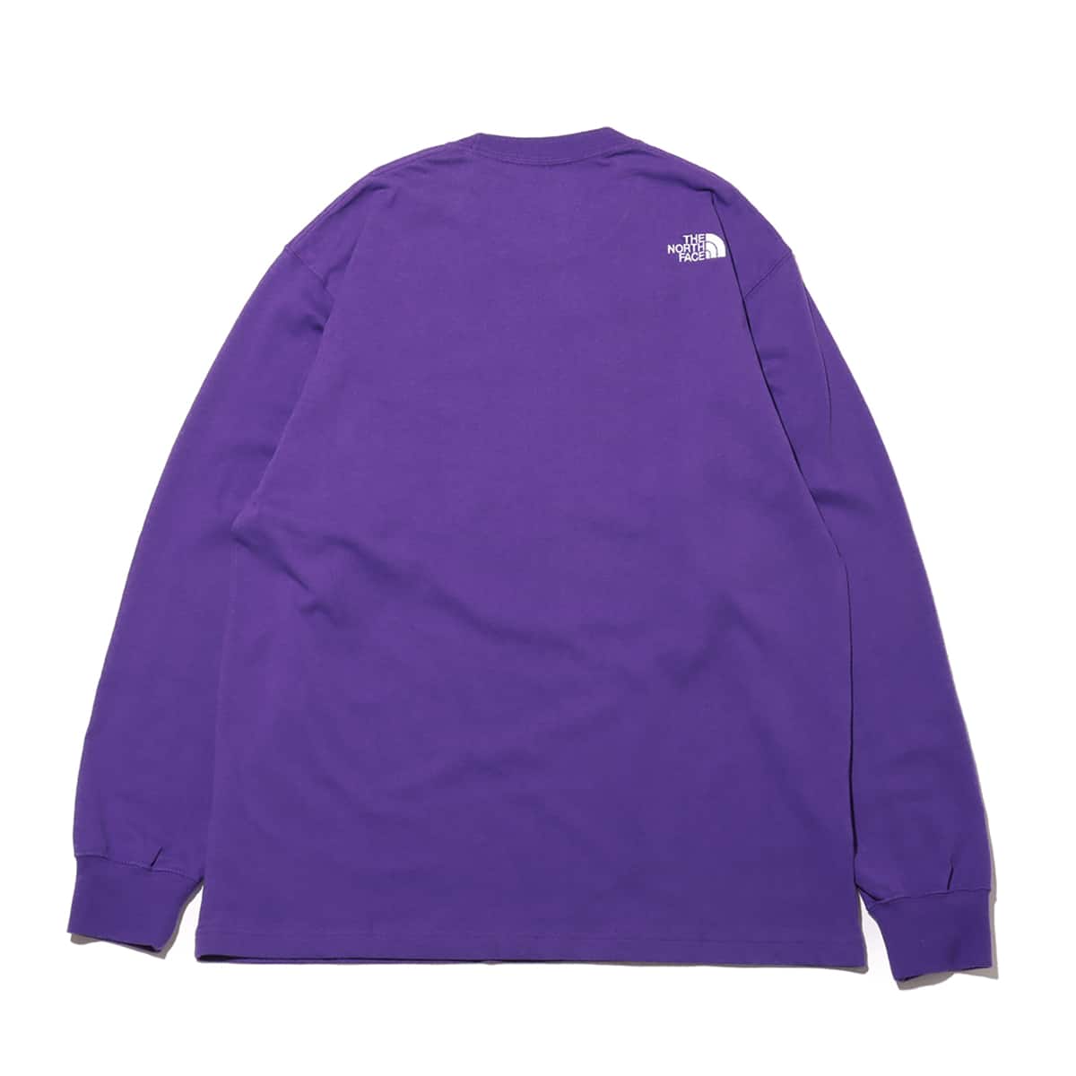 THE NORTH FACE L/S NEVER STOP ING Tee TNFパープル 24SS-I（ザ